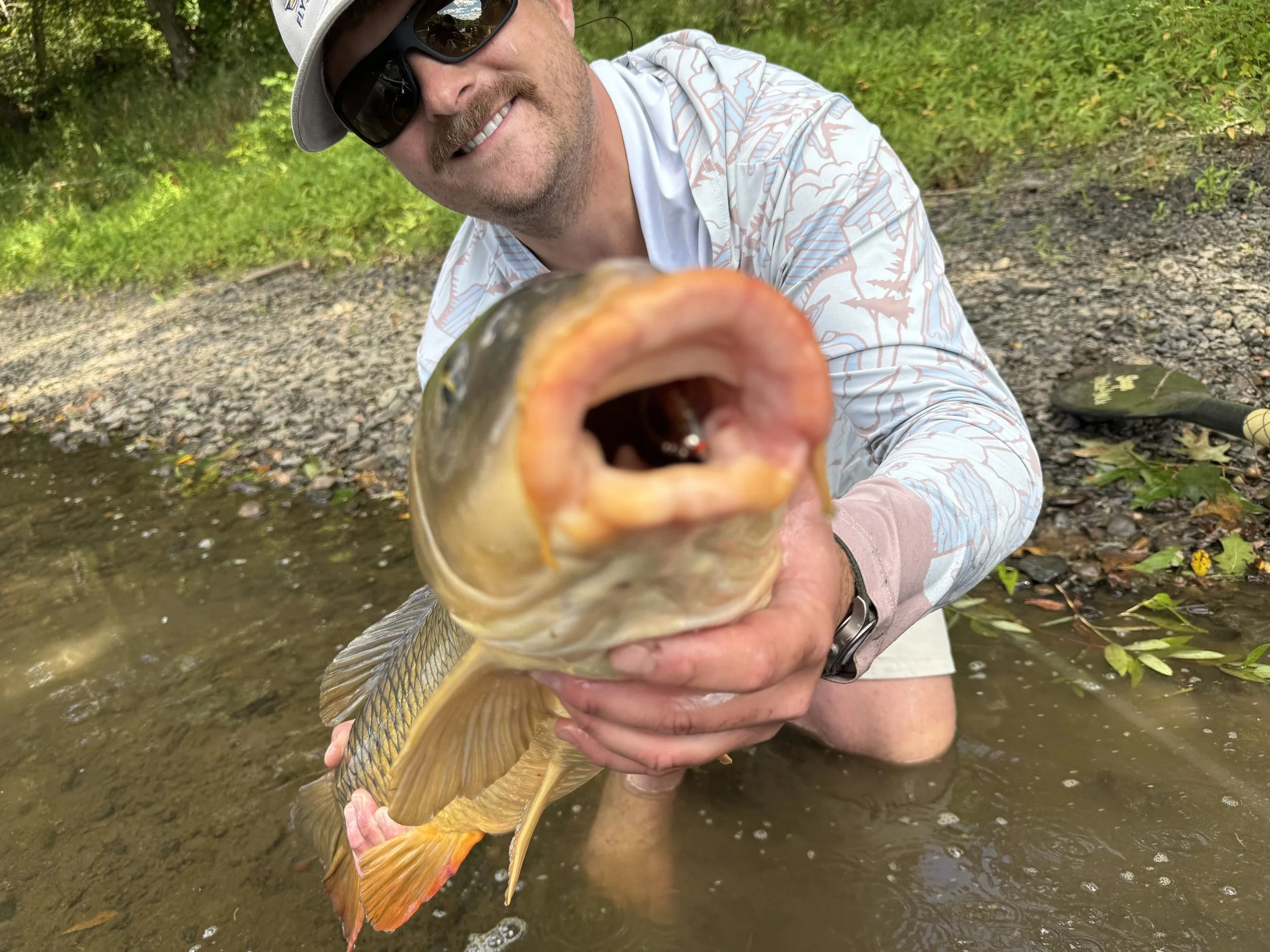 Wake me up, when September ends