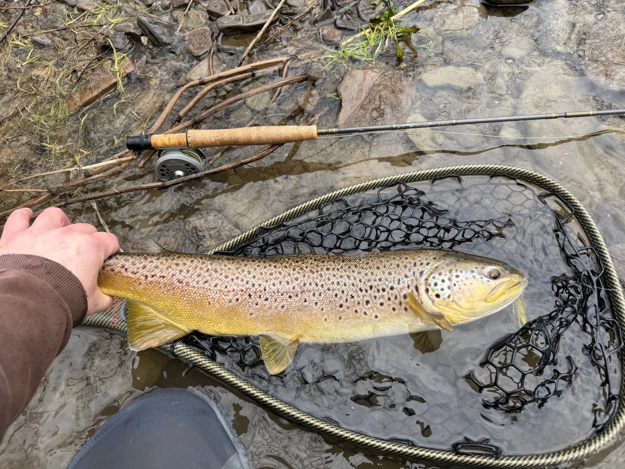 River Report - 1/14/2026