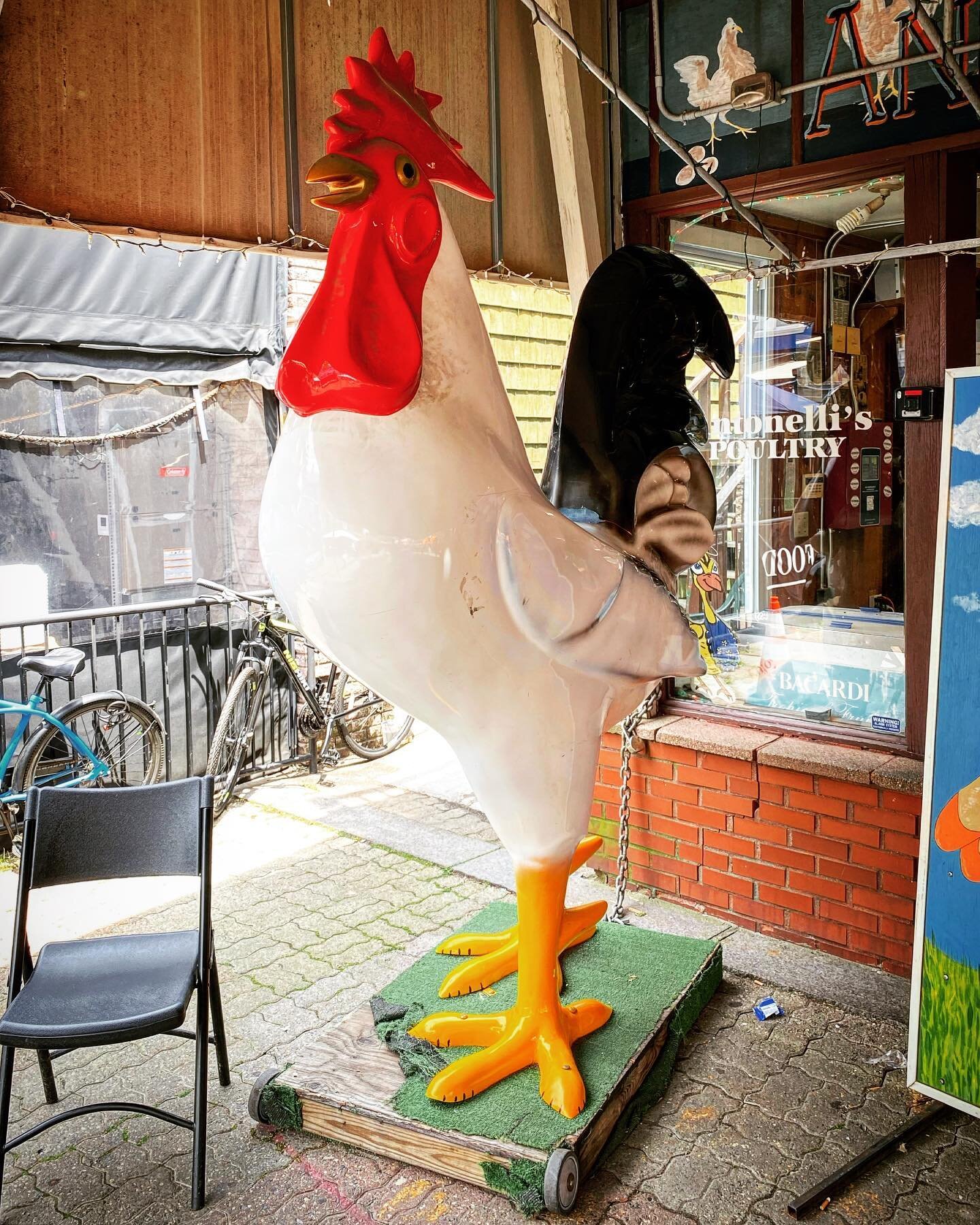 Here is another of the many giant roosters produced by International Fiberglass in the 60&rsquo;s. This one stands in front of Antonelli&rsquo;s Poultry in the Federal Hill area of Providence, RI. It is in Depasquale Plaza, which is a pedestrian plaz