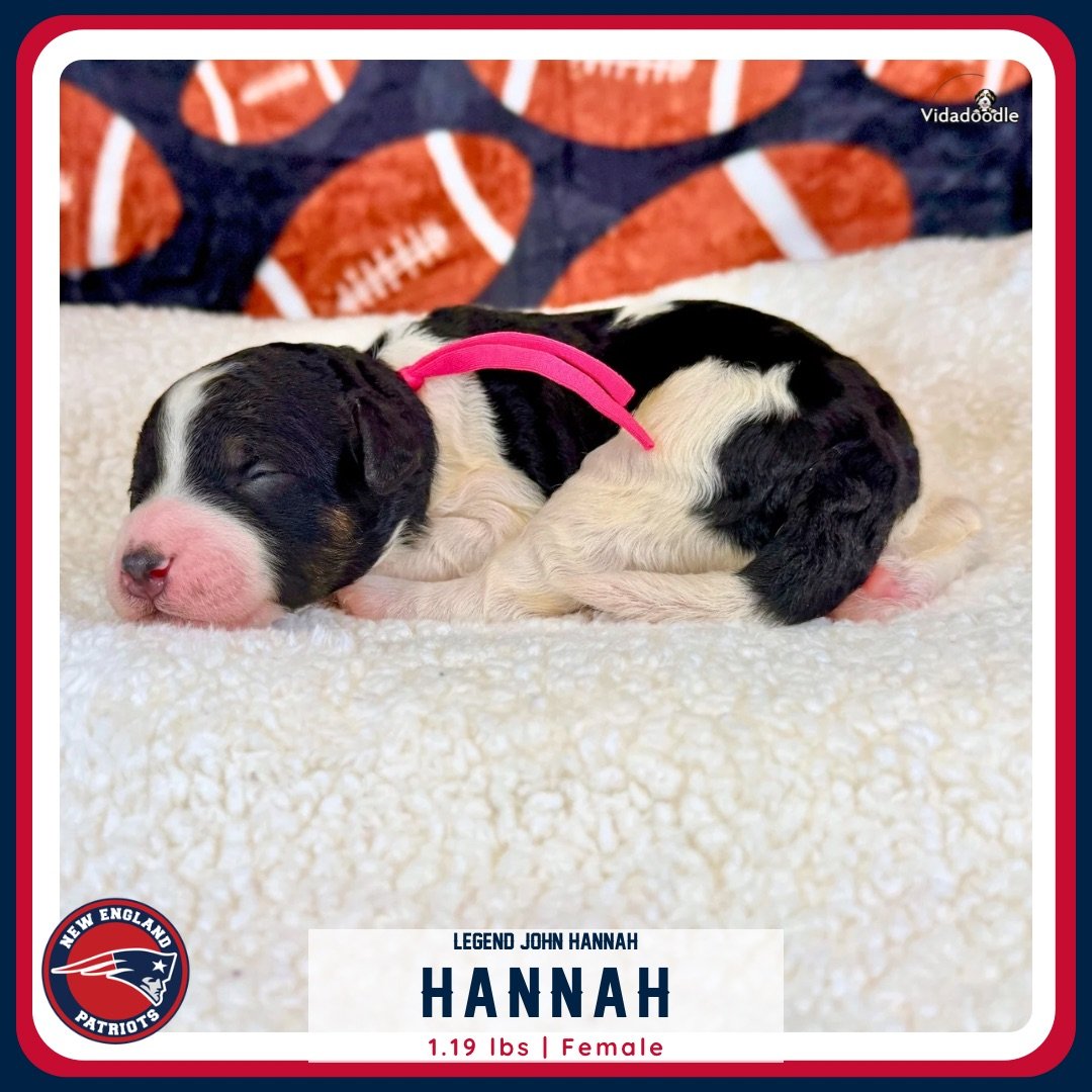 Week 1 LEGEND litter - 4.png