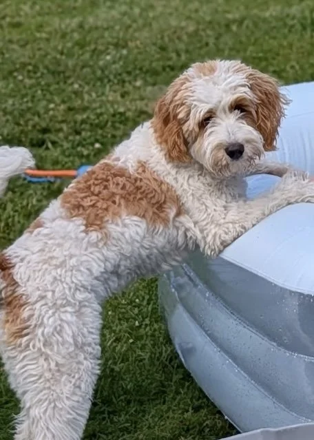 2763.jpg