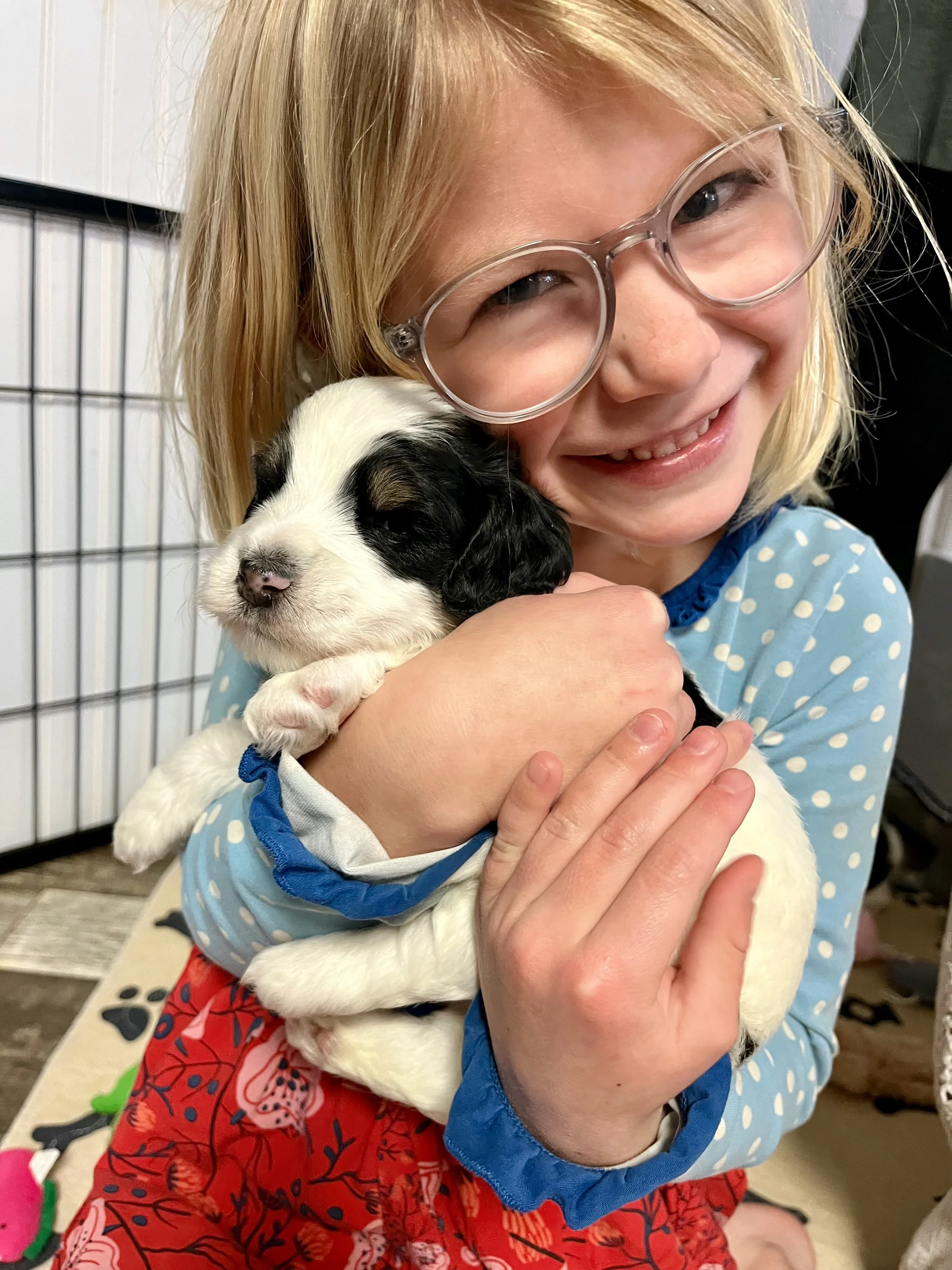 Kids and bernedoodles ... the best.