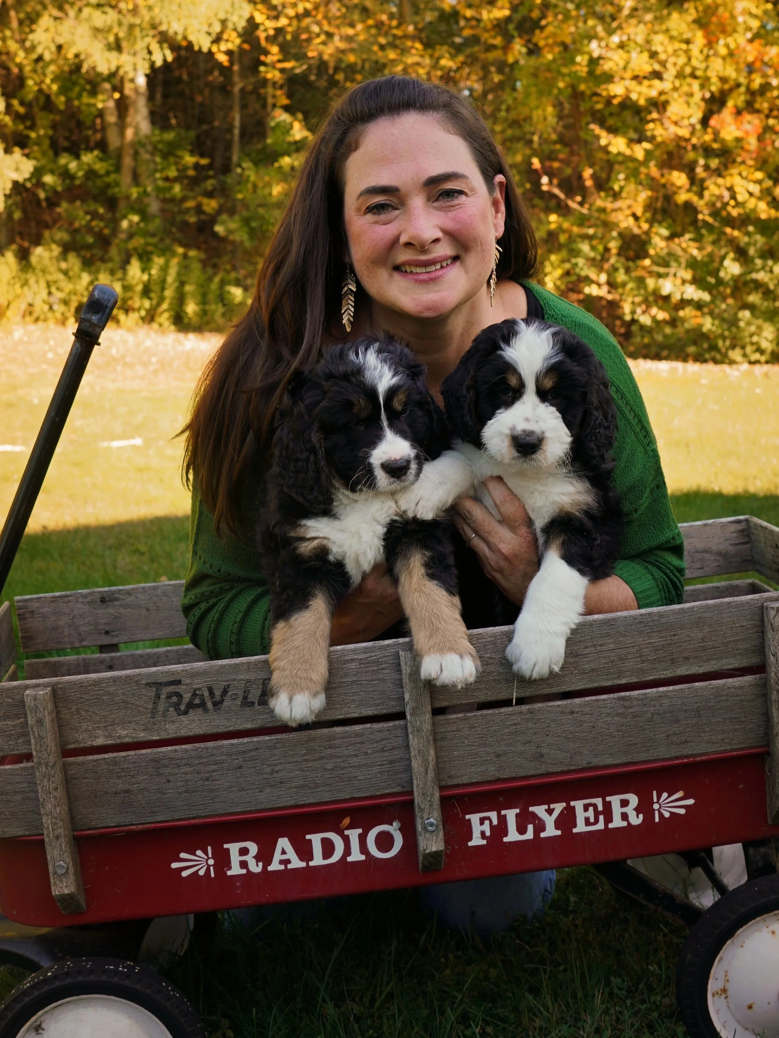 Julie and her bernedoodles puppies