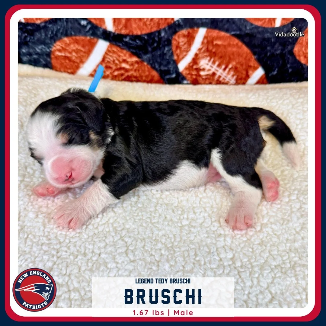 Week 1 LEGEND litter - 3.png