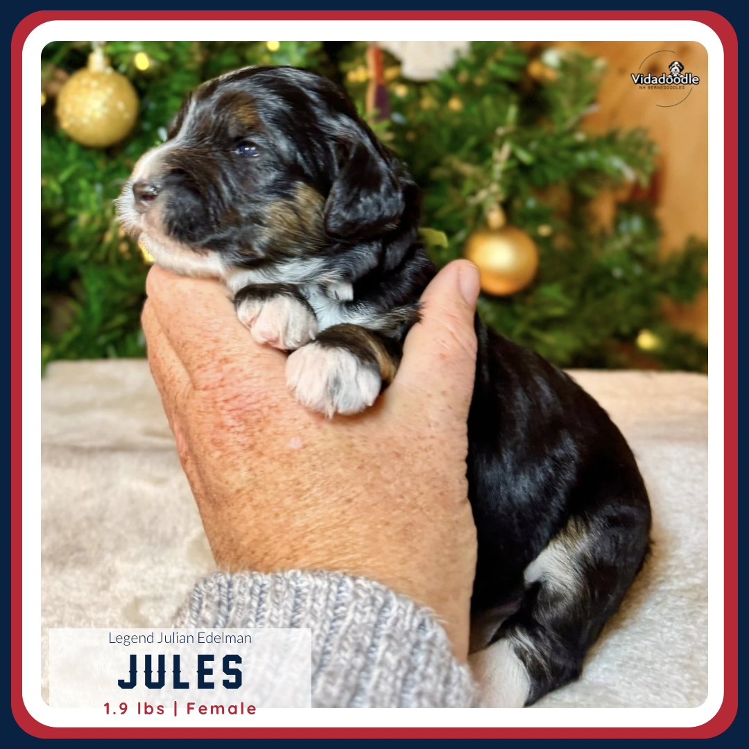 Week 2 LEGEND litter - 6.png