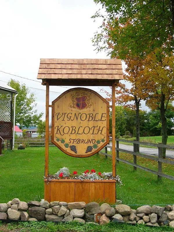 vignoble-kobloth.jpg