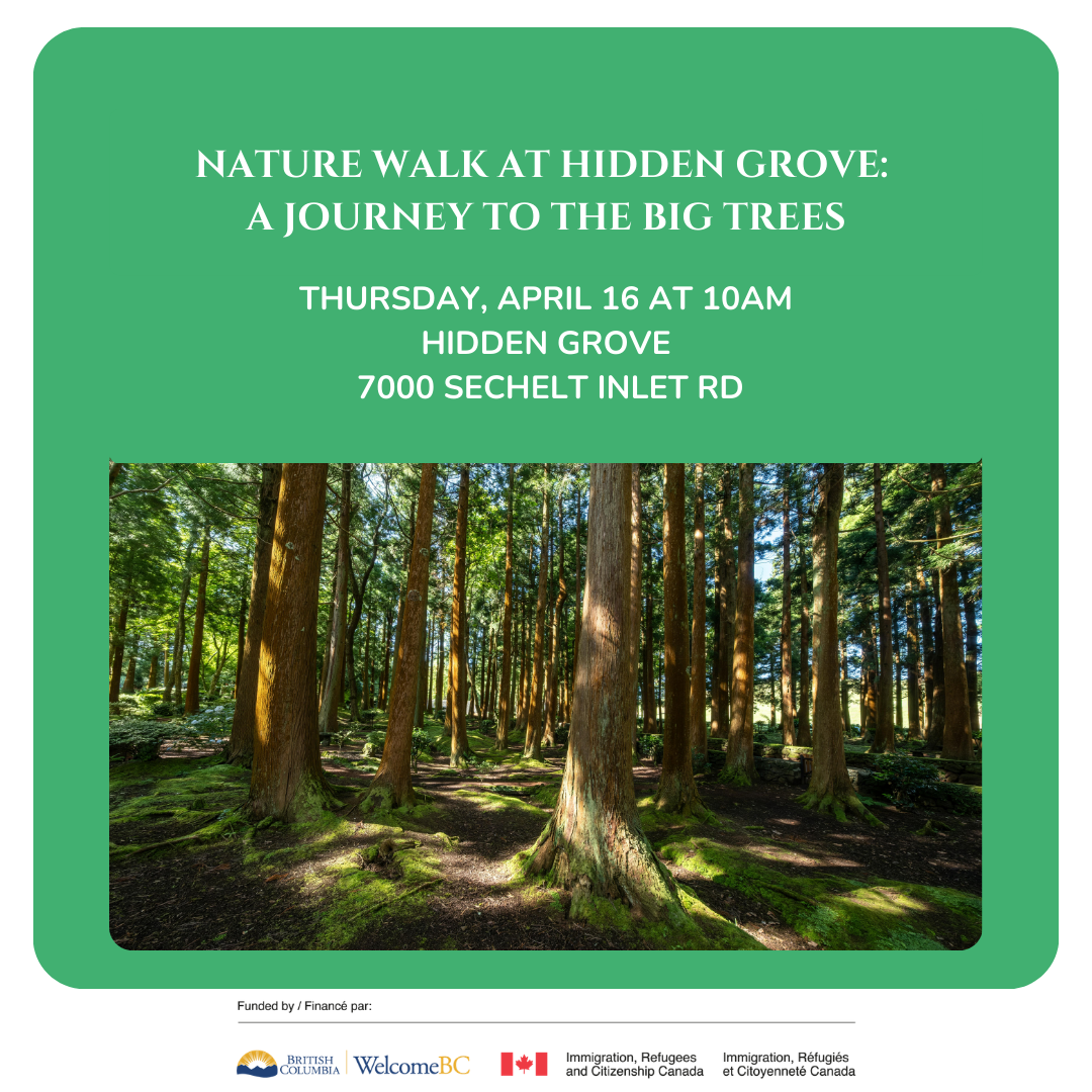 Nature Walk at Hidden Grove: A Journey to the Big Trees