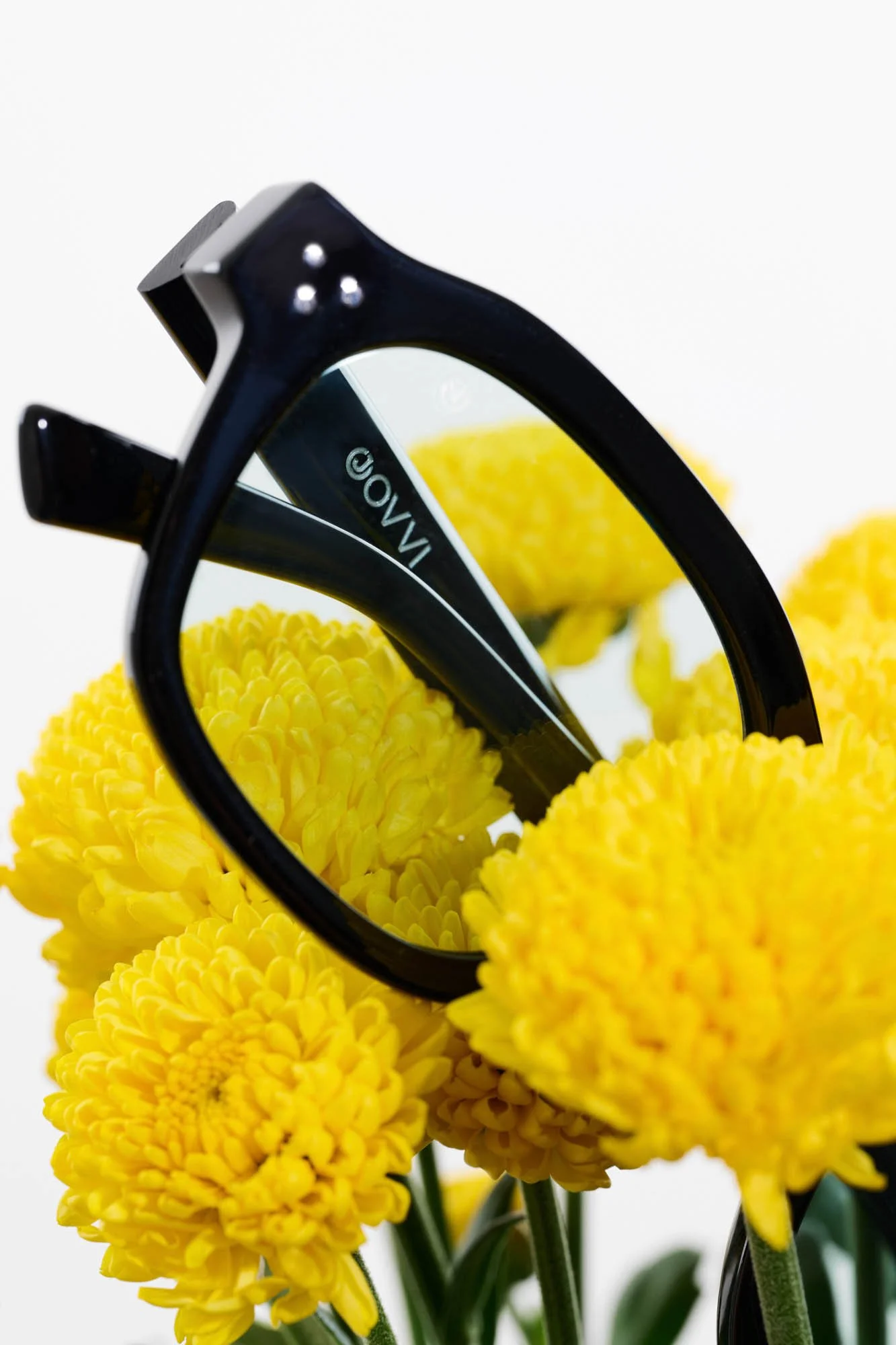 SLY x Jovvy8601.jpg
