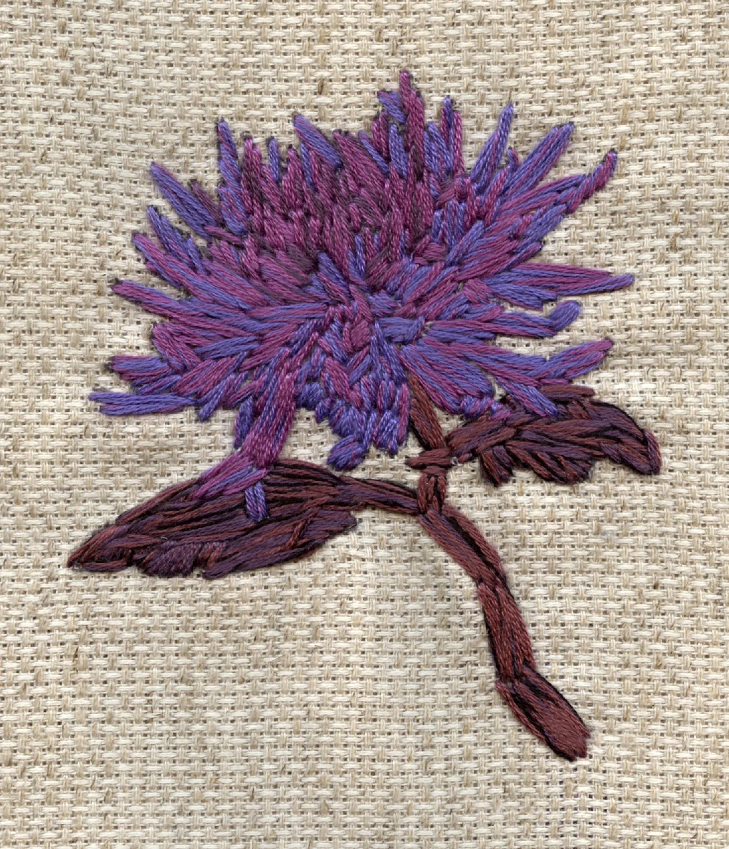 42 the forty second flower.jpg