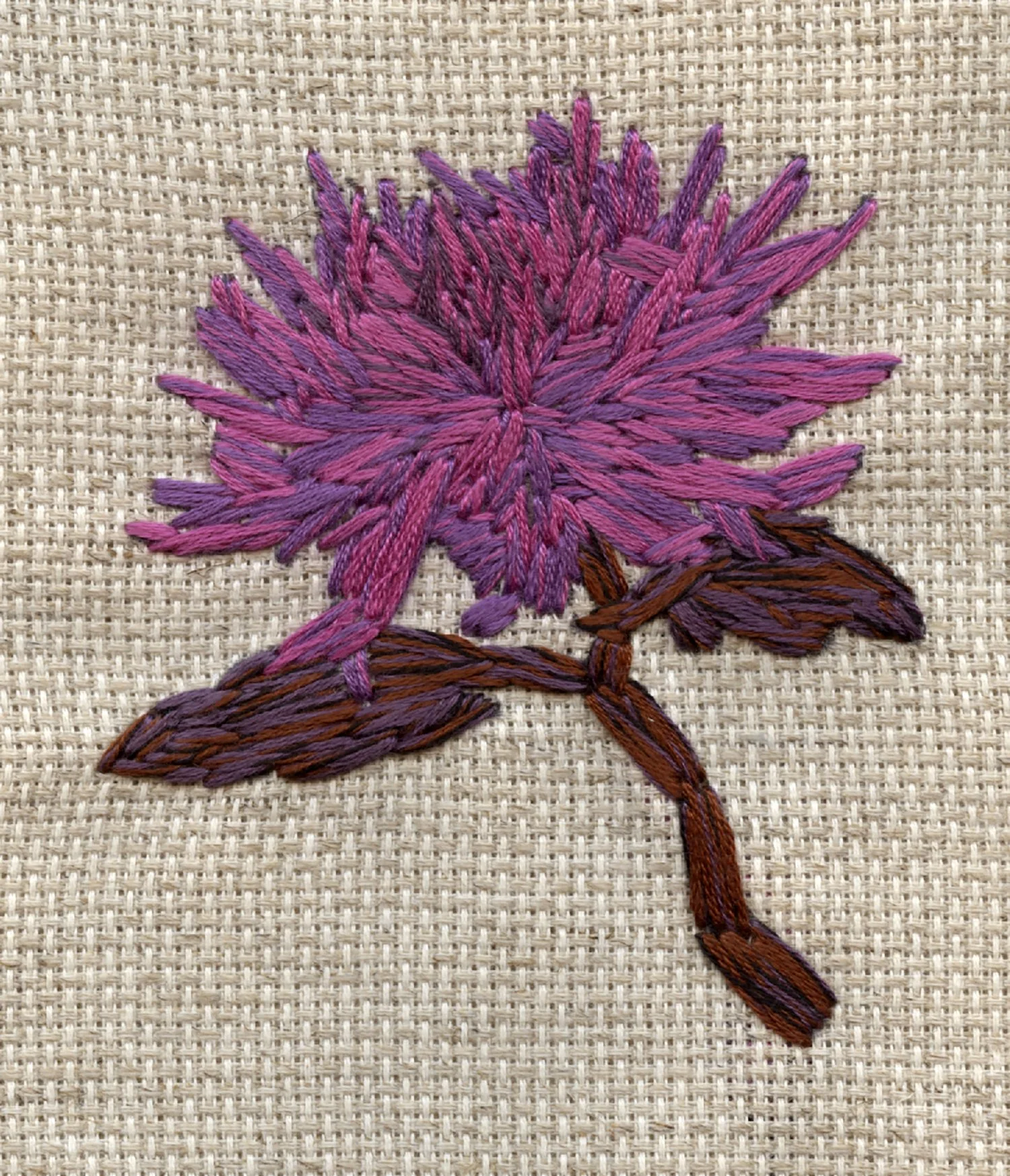 43 the forty third flower.jpg