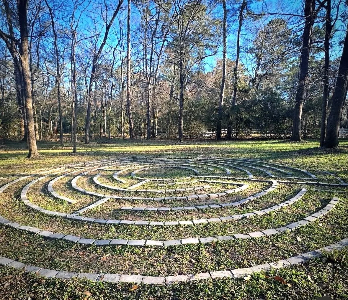 Nature Connection Circle