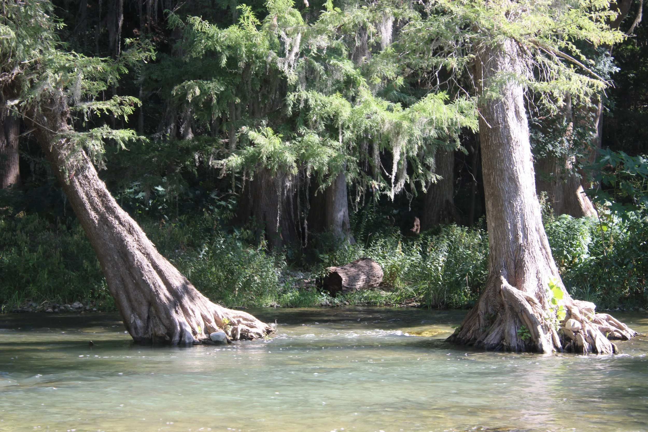 Land Stewardship in Texas: A Call to Conserve Our Lone Star Legacy ...