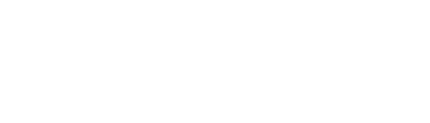 Christensen Institute Executive Learning