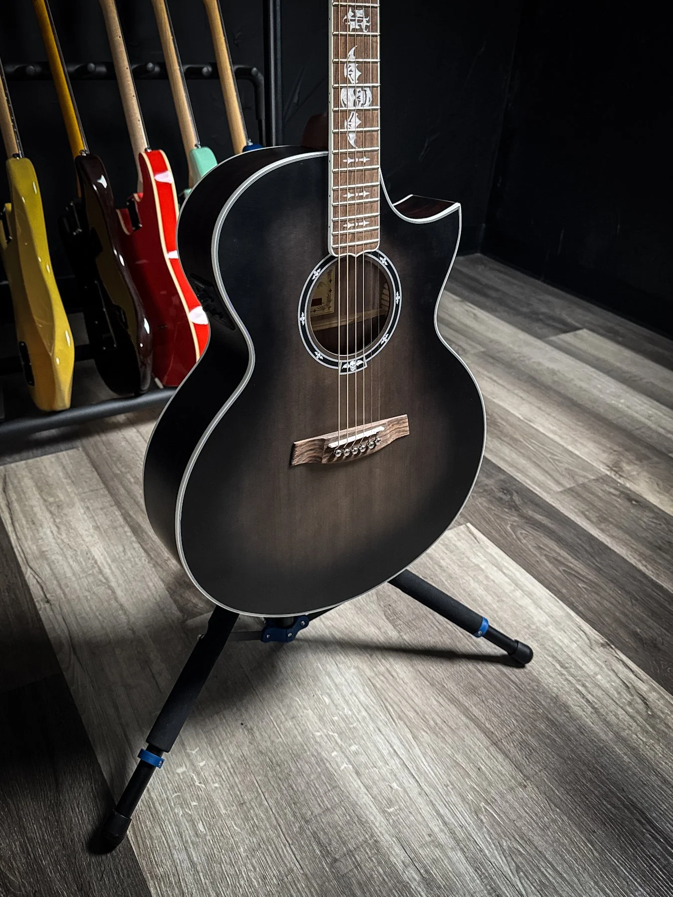 schecter-09.jpg