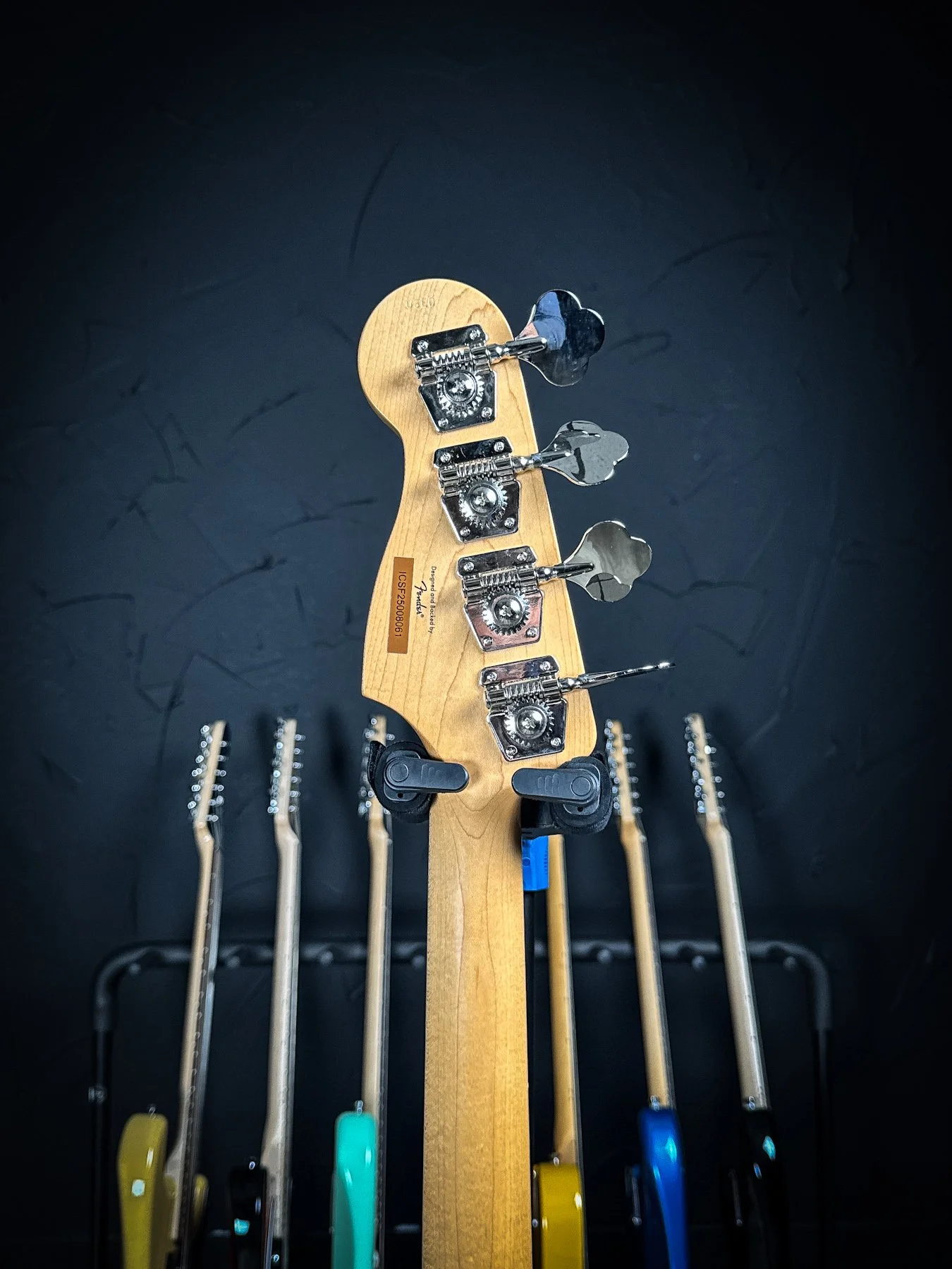 squier-1.jpg