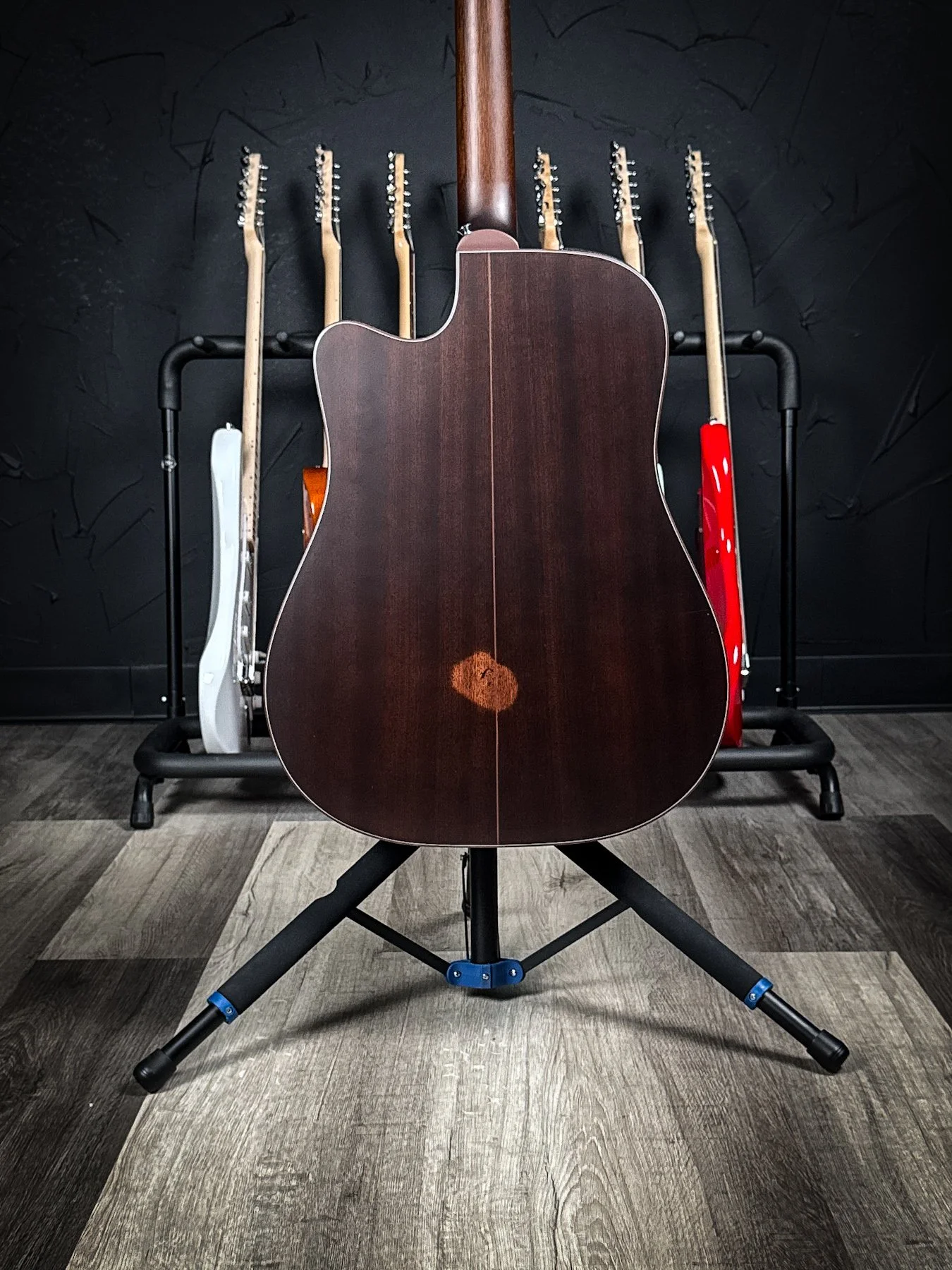 takamine-2.jpg