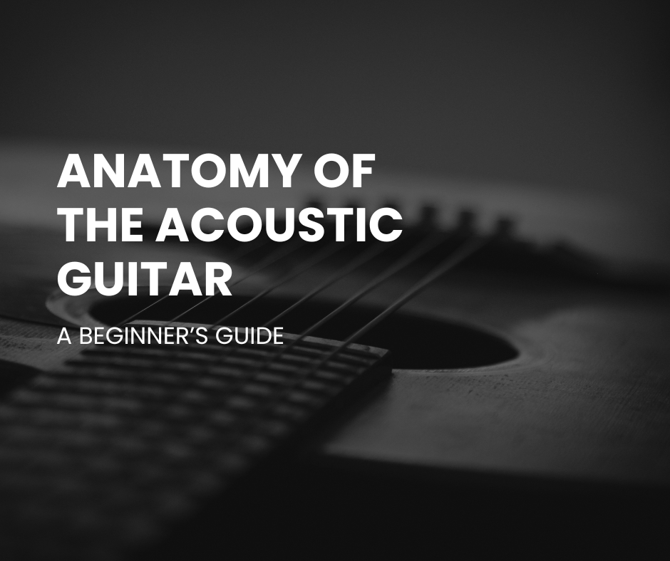 Anatomy of the Acoustic Guitar: What Every Beginner Should Know