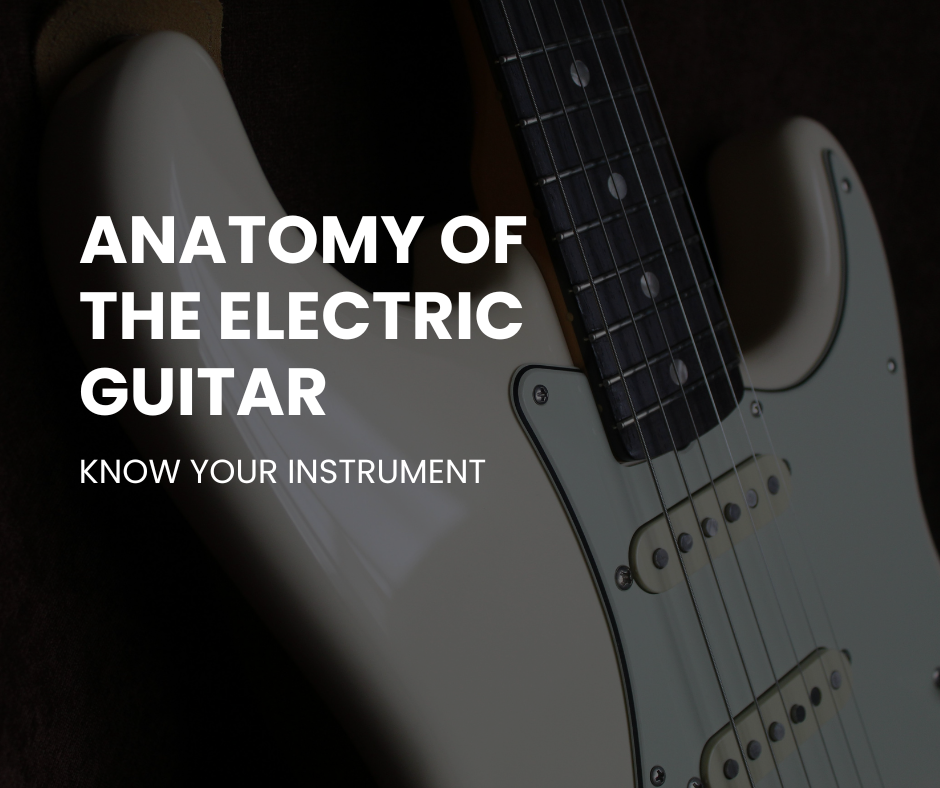 Anatomy of the Electric Guitar: Know Your Instrument
