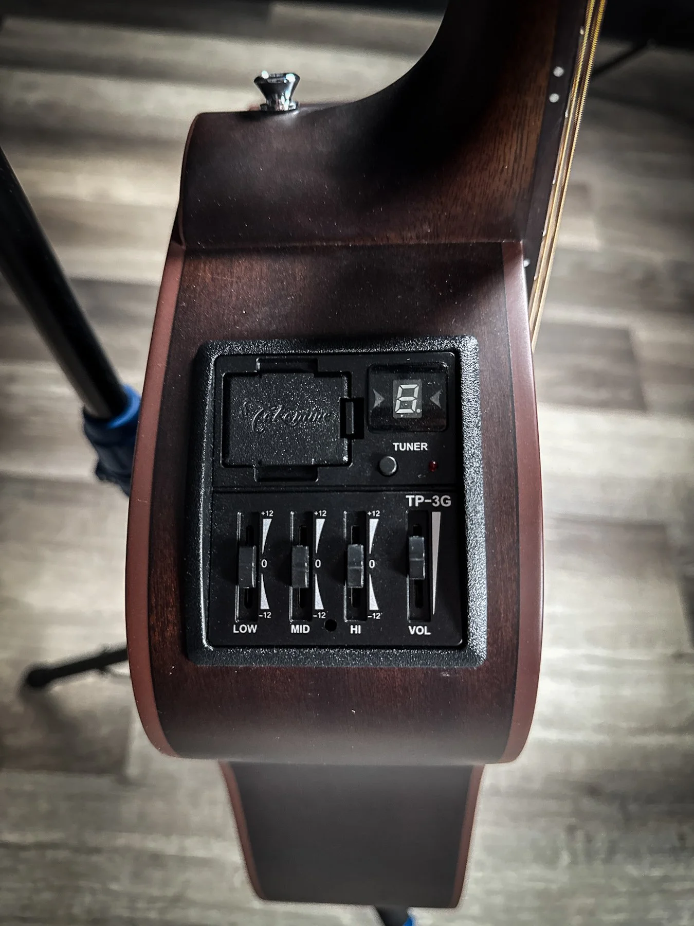 takamine-6.jpg