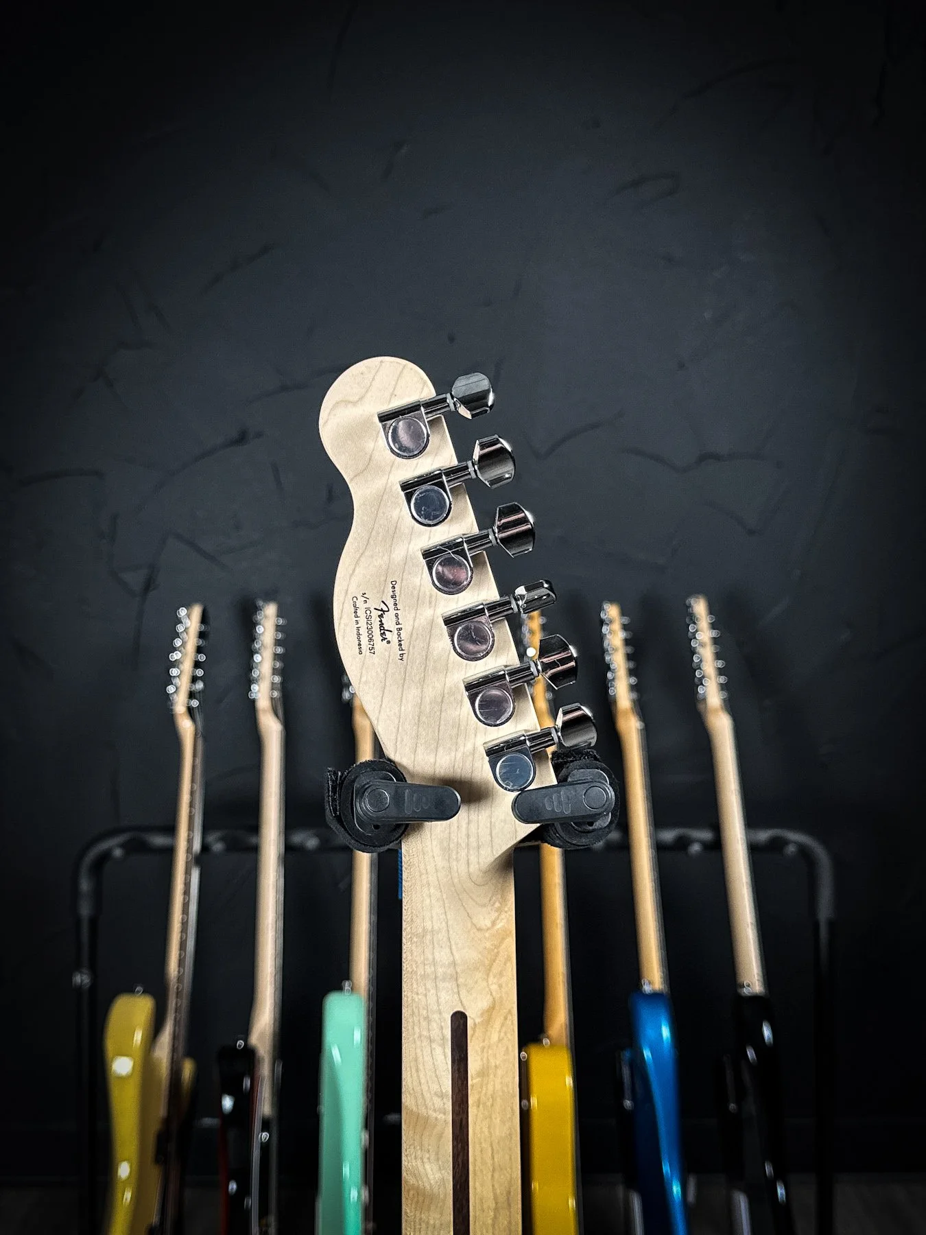 squier-3.jpg