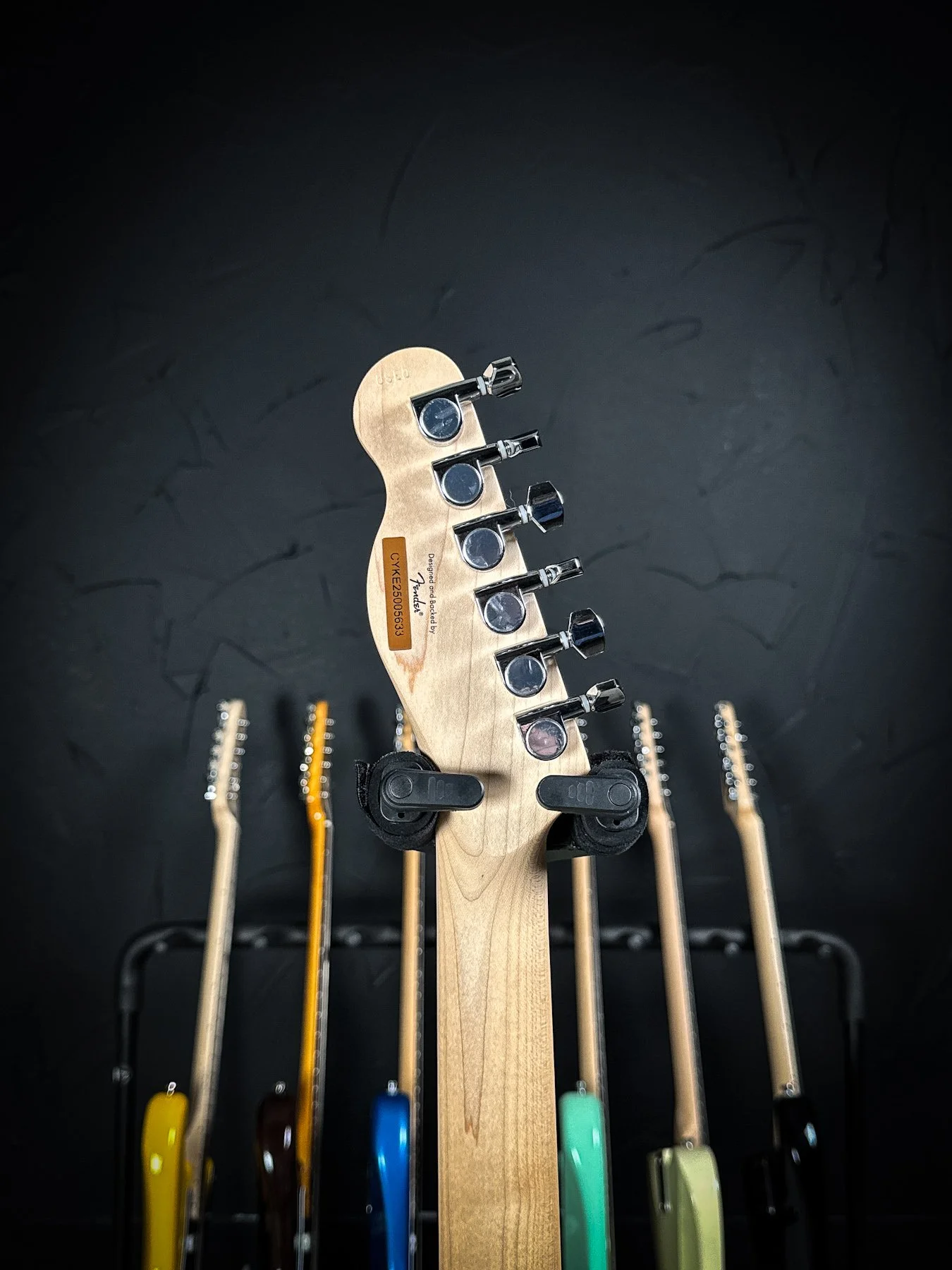 squier-3.jpg