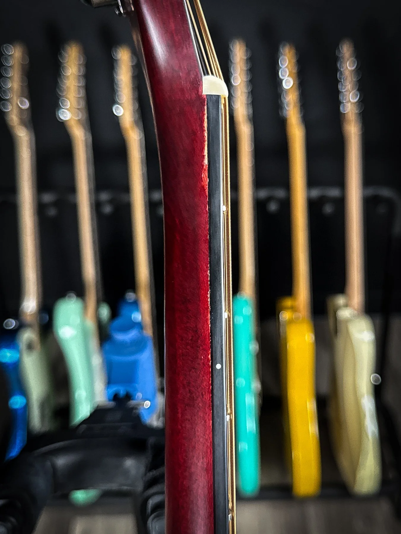 schecter-03.jpg