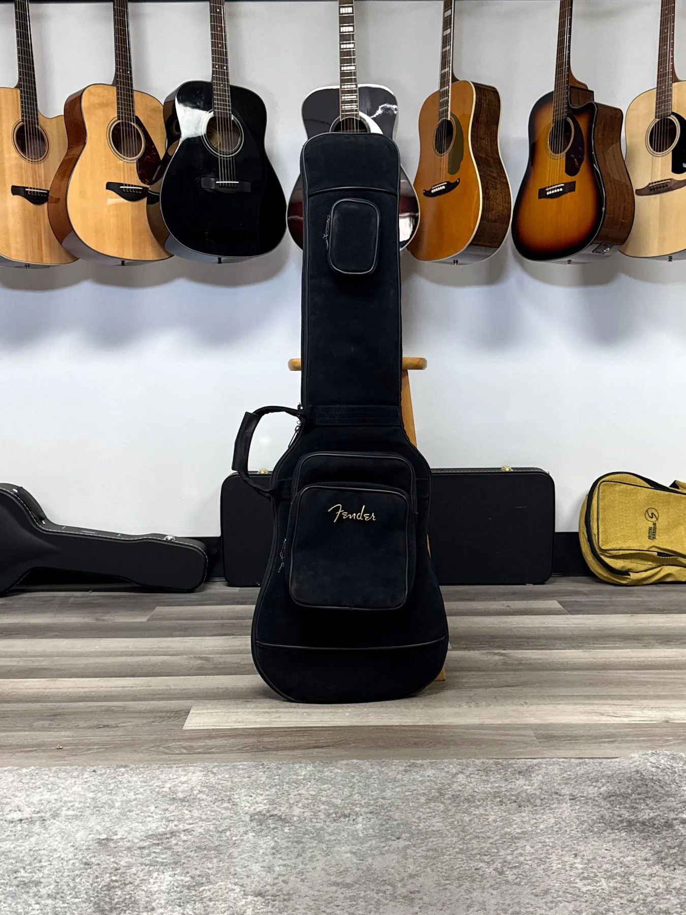 gig bag-5.jpg