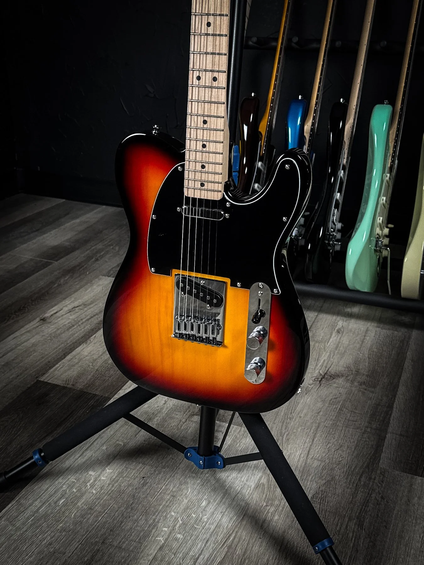 squier-4.jpg