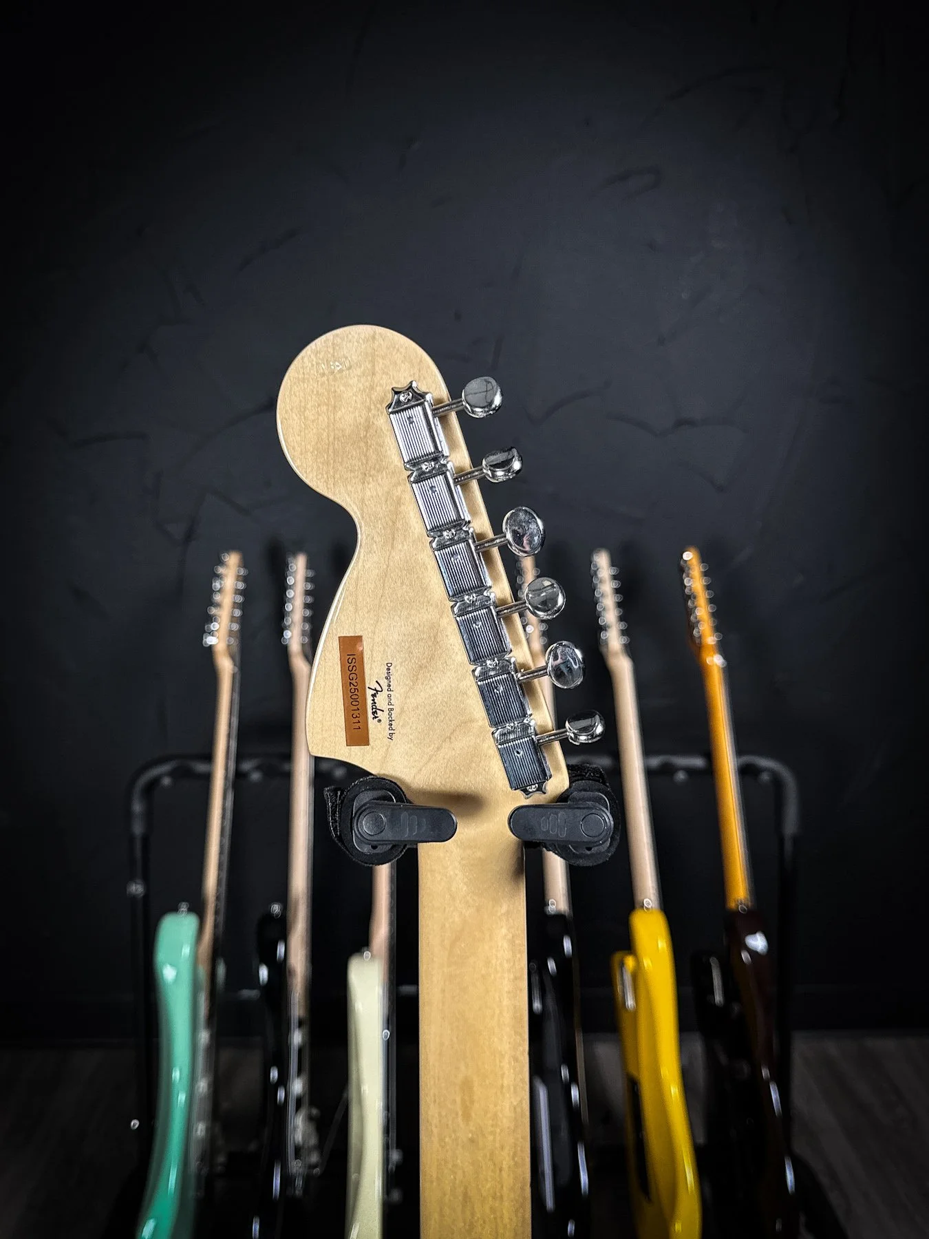 squier-1.jpg