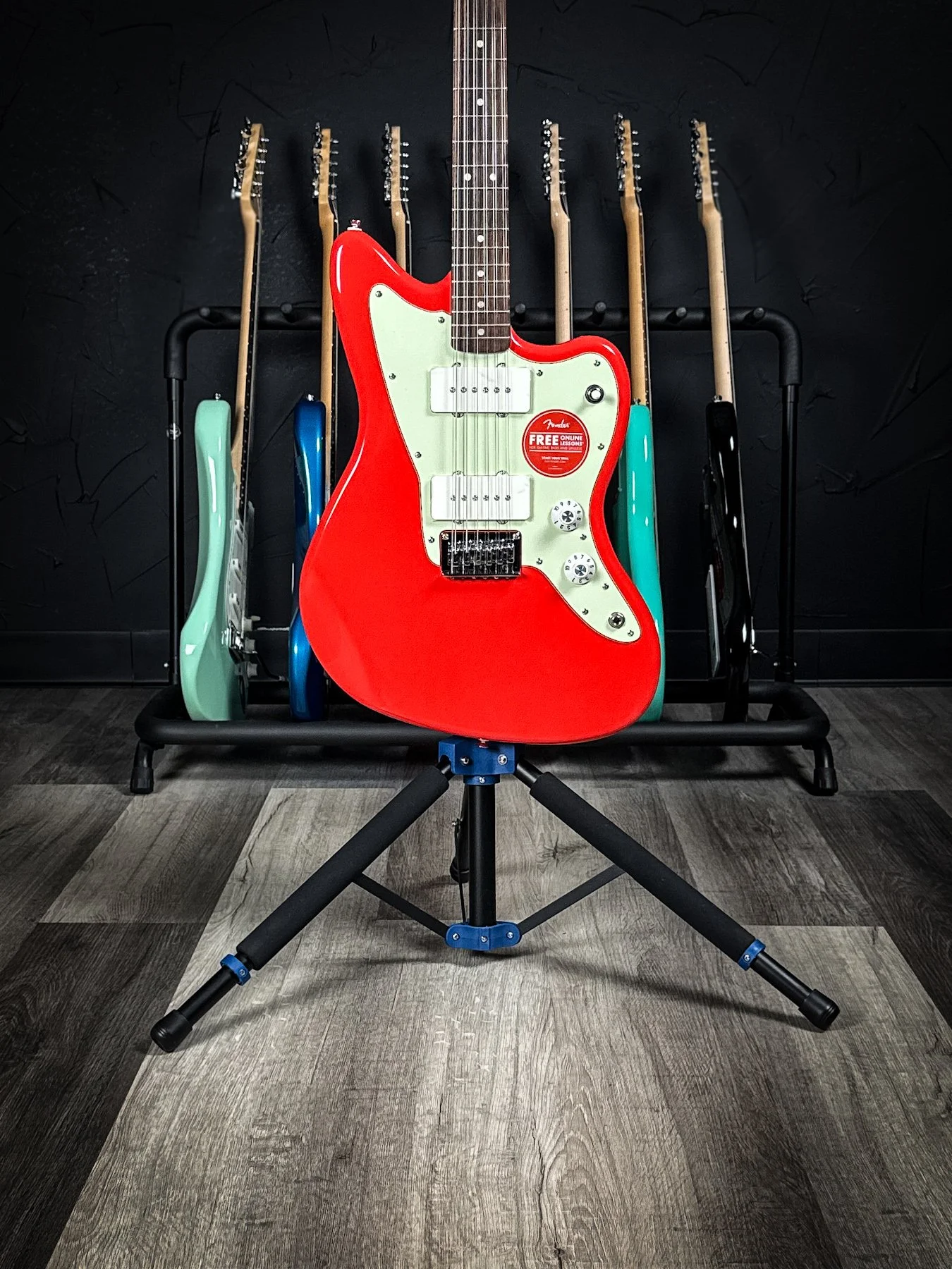 squier12-6.jpg