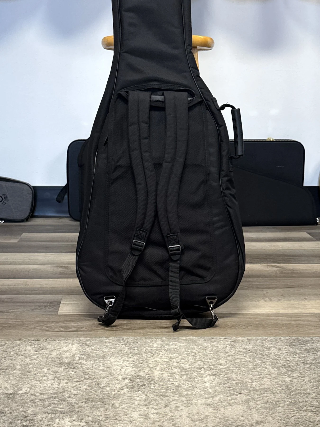 gig bag-2.jpg
