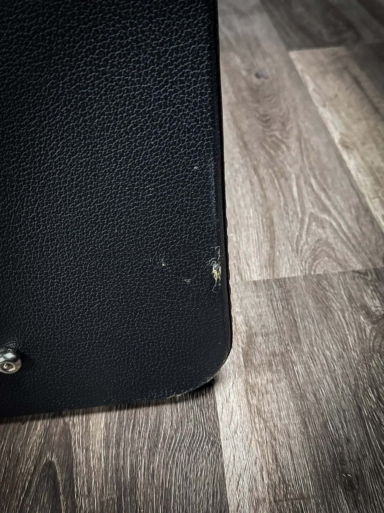 RR-RRDWB-BASSCASE-06.jpg