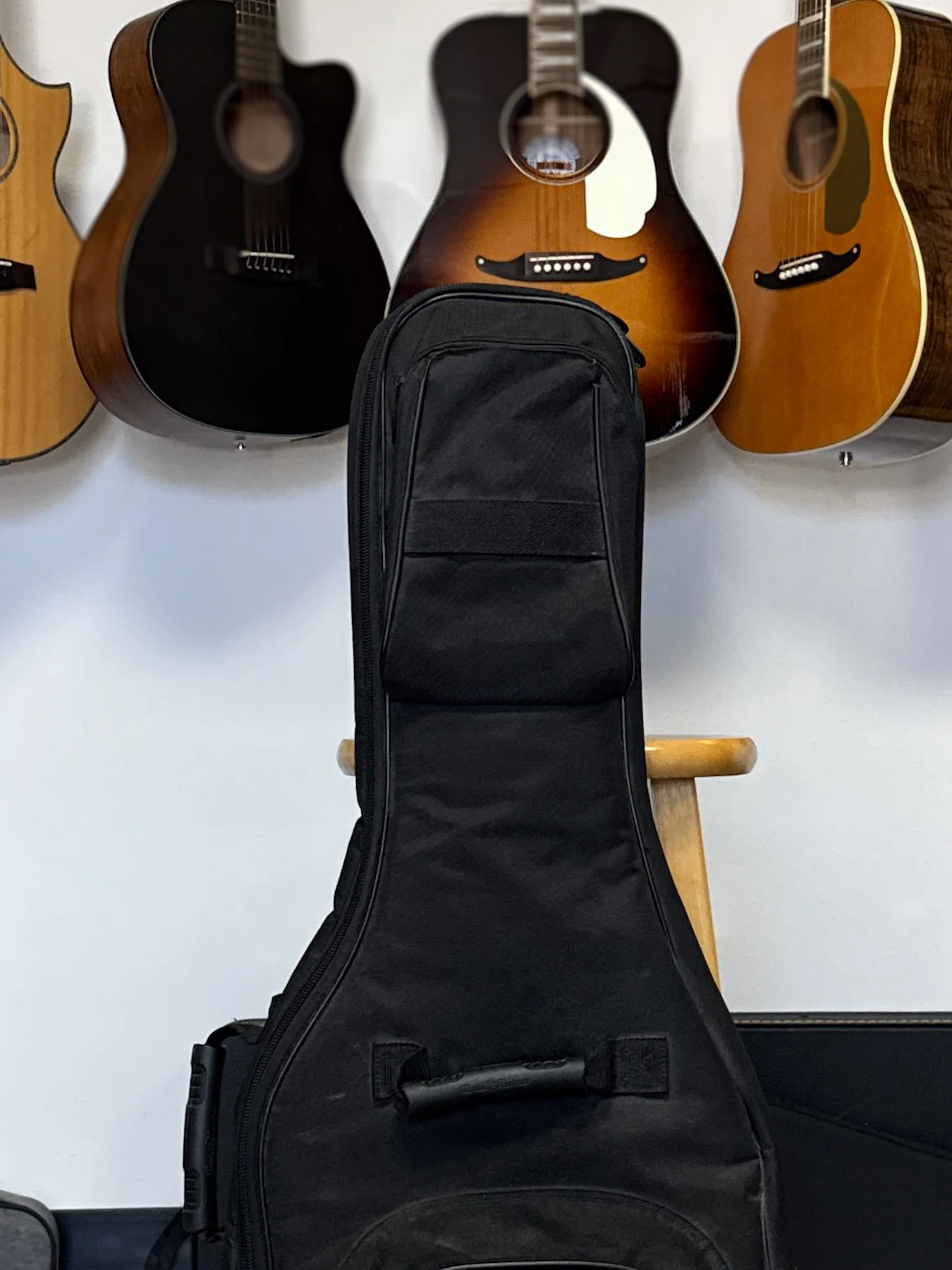 gig bag-4.jpg