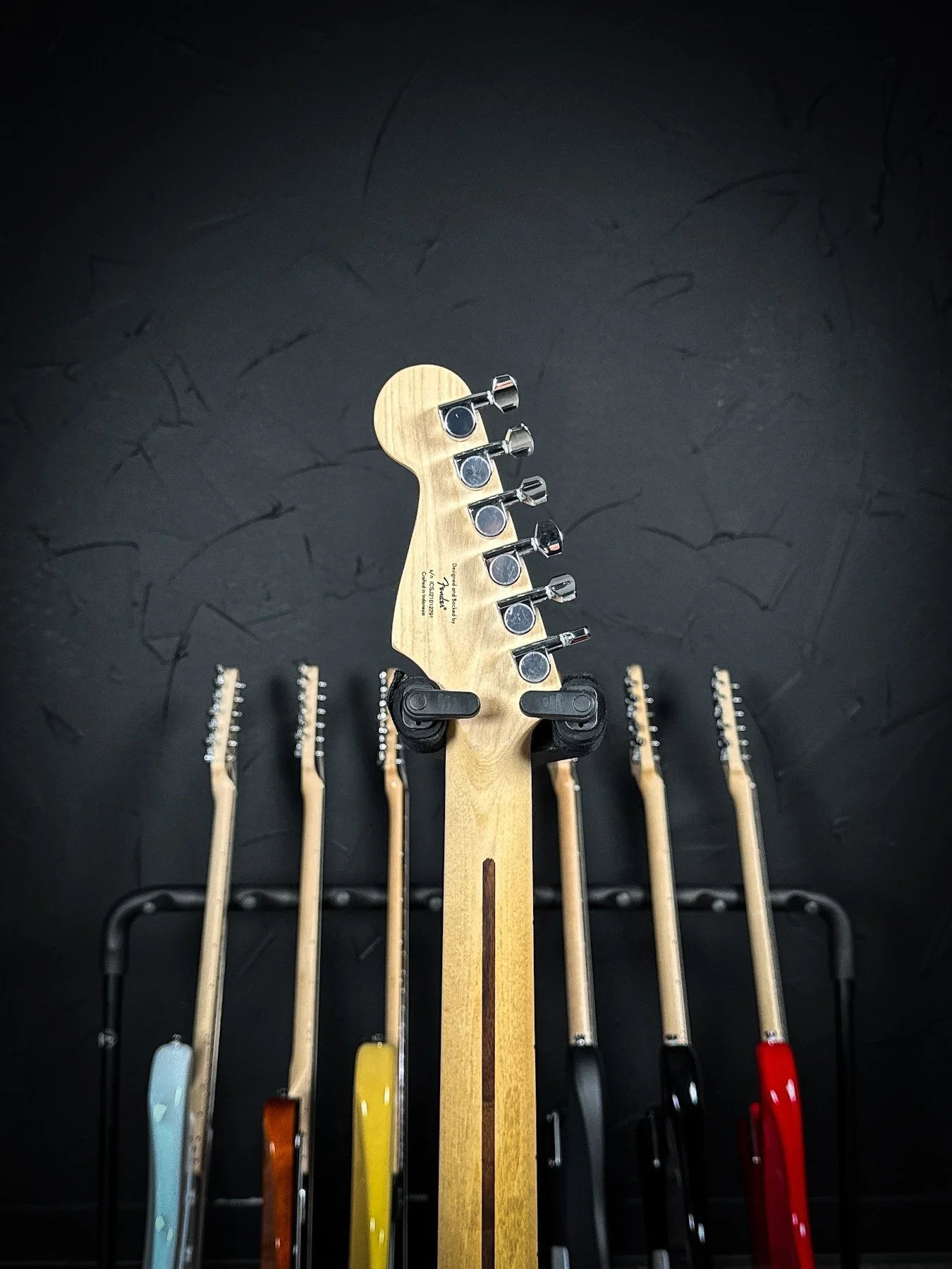 squier-1.jpg
