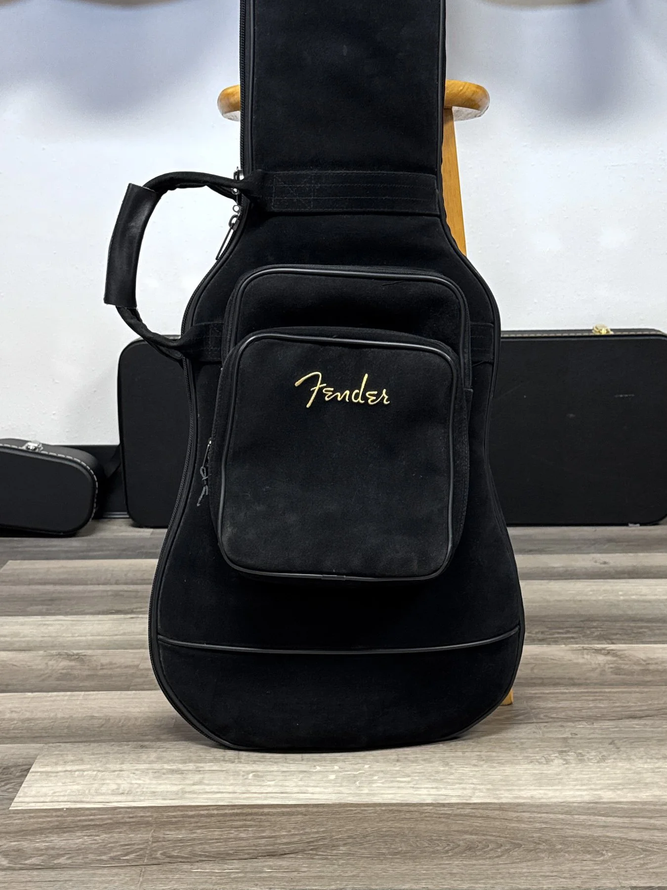gig bag-3.jpg