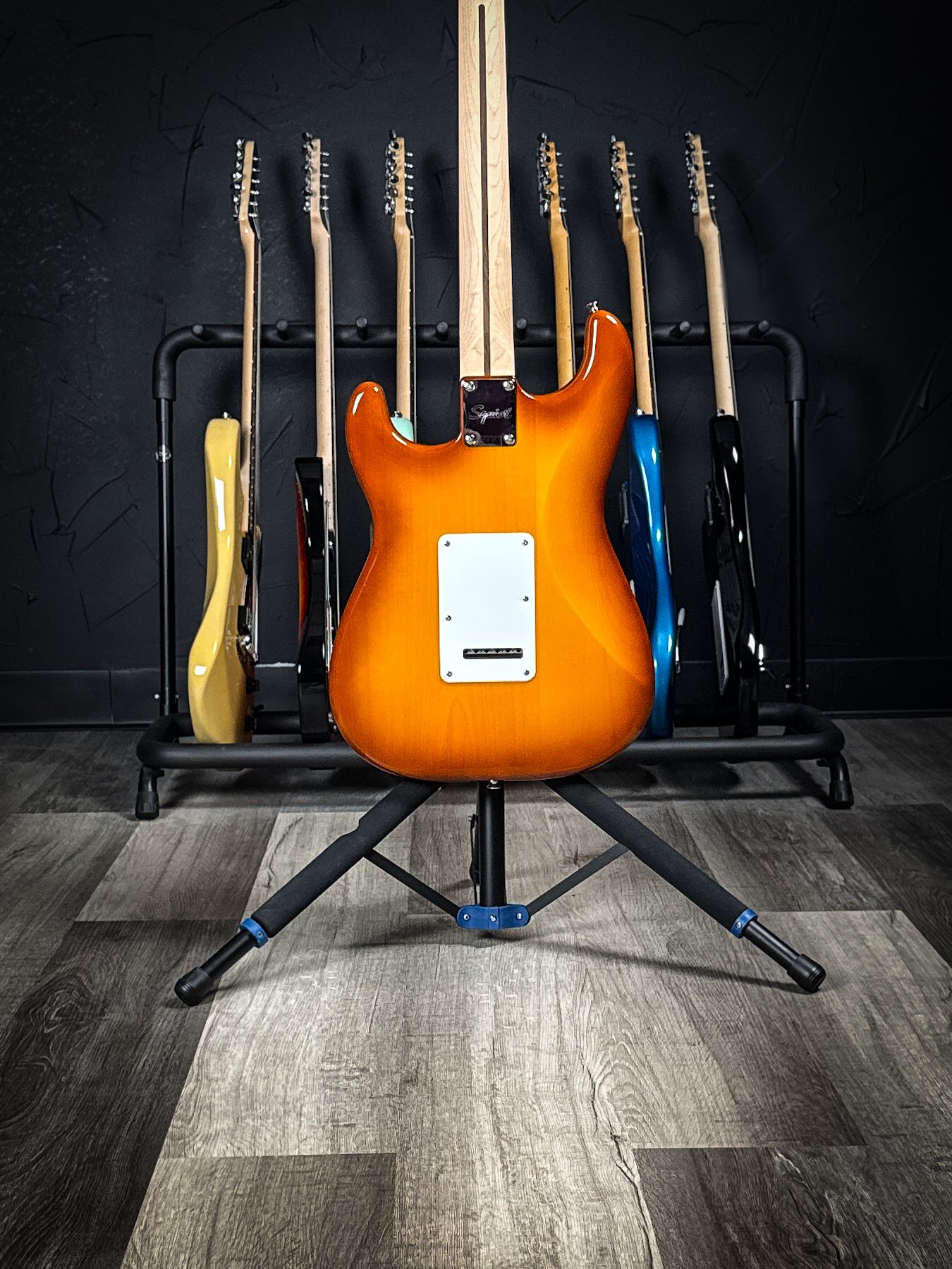 squier-1 2.jpg