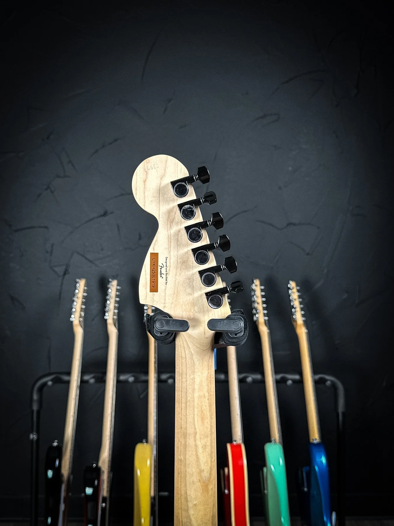 squier-3.jpg