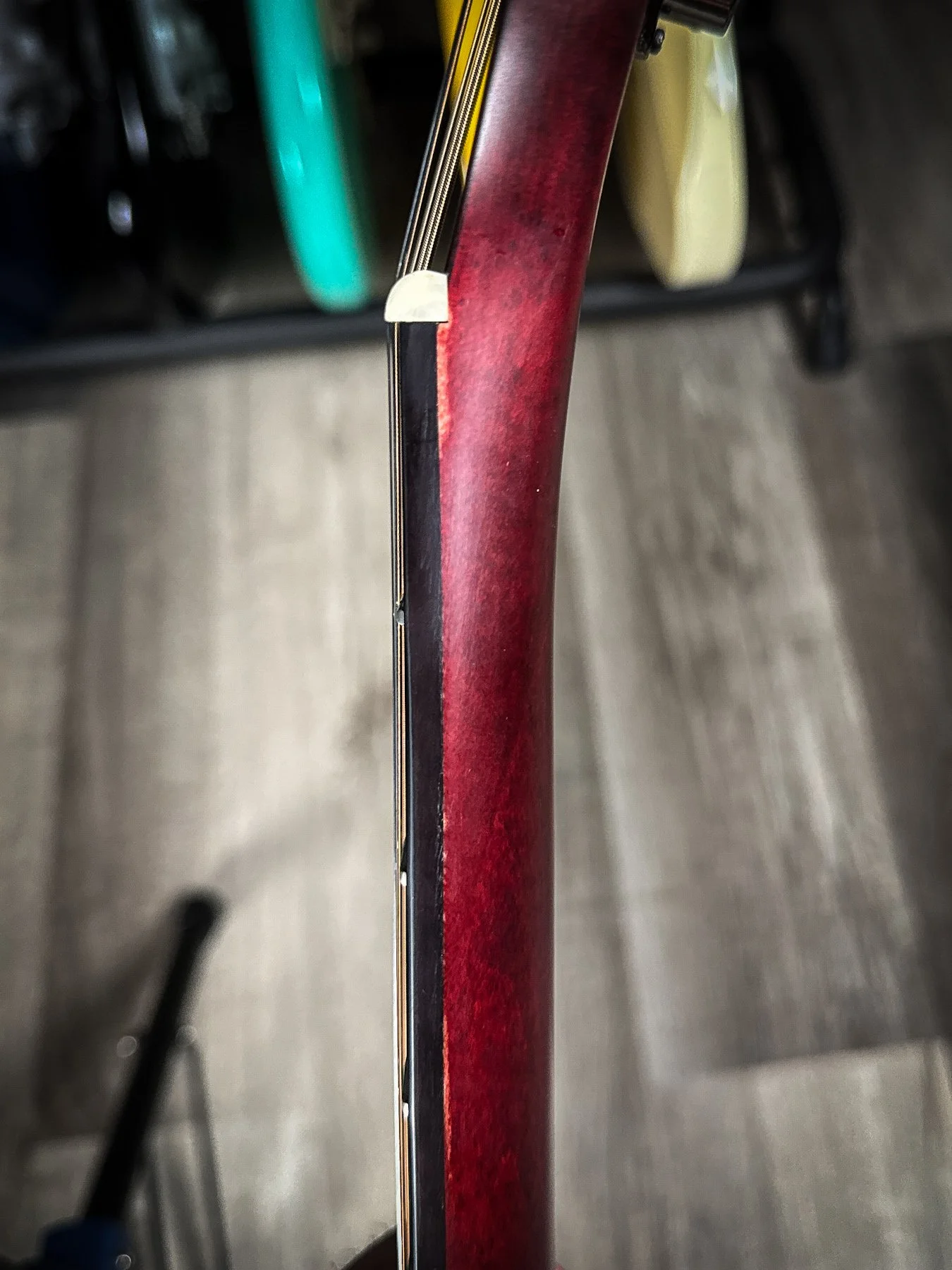 schecter-02.jpg