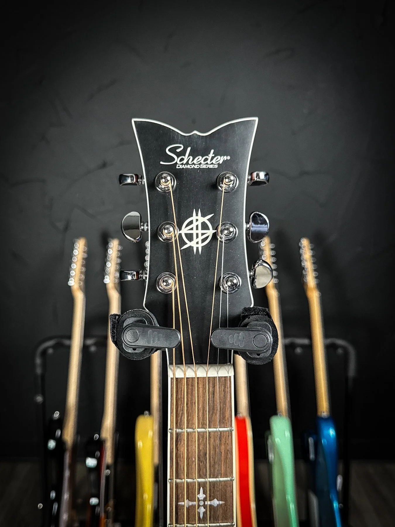 schecter-05.jpg