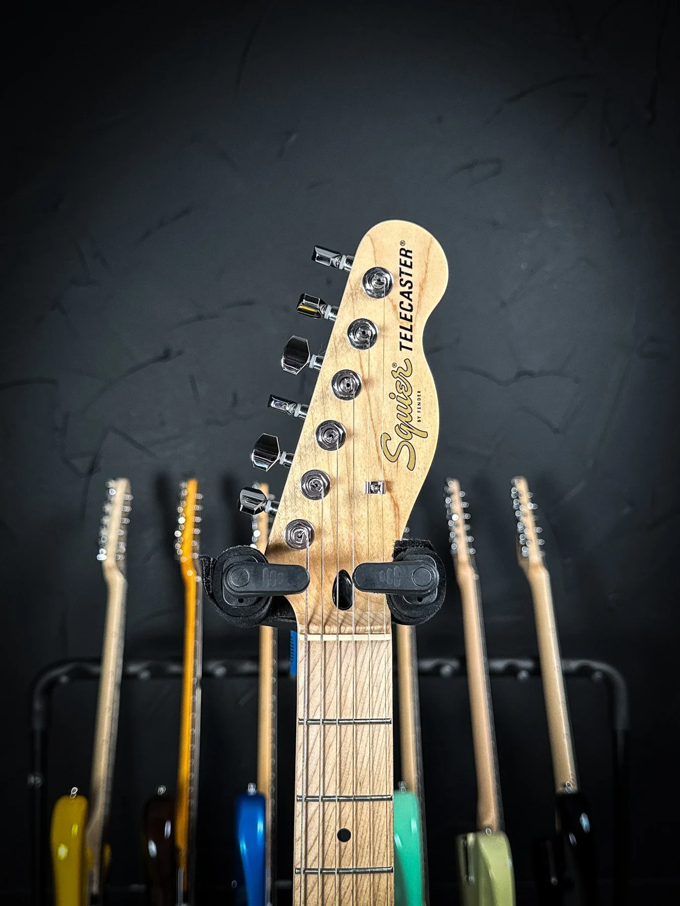 squier-5.jpg