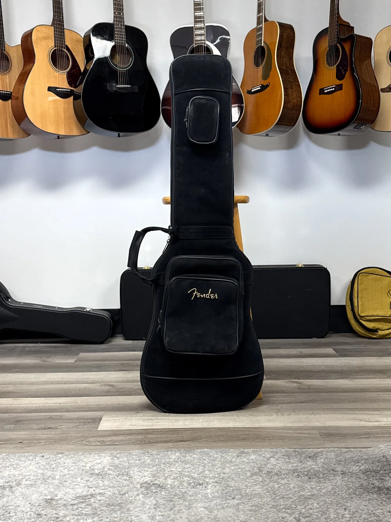 gig bag-4.jpg