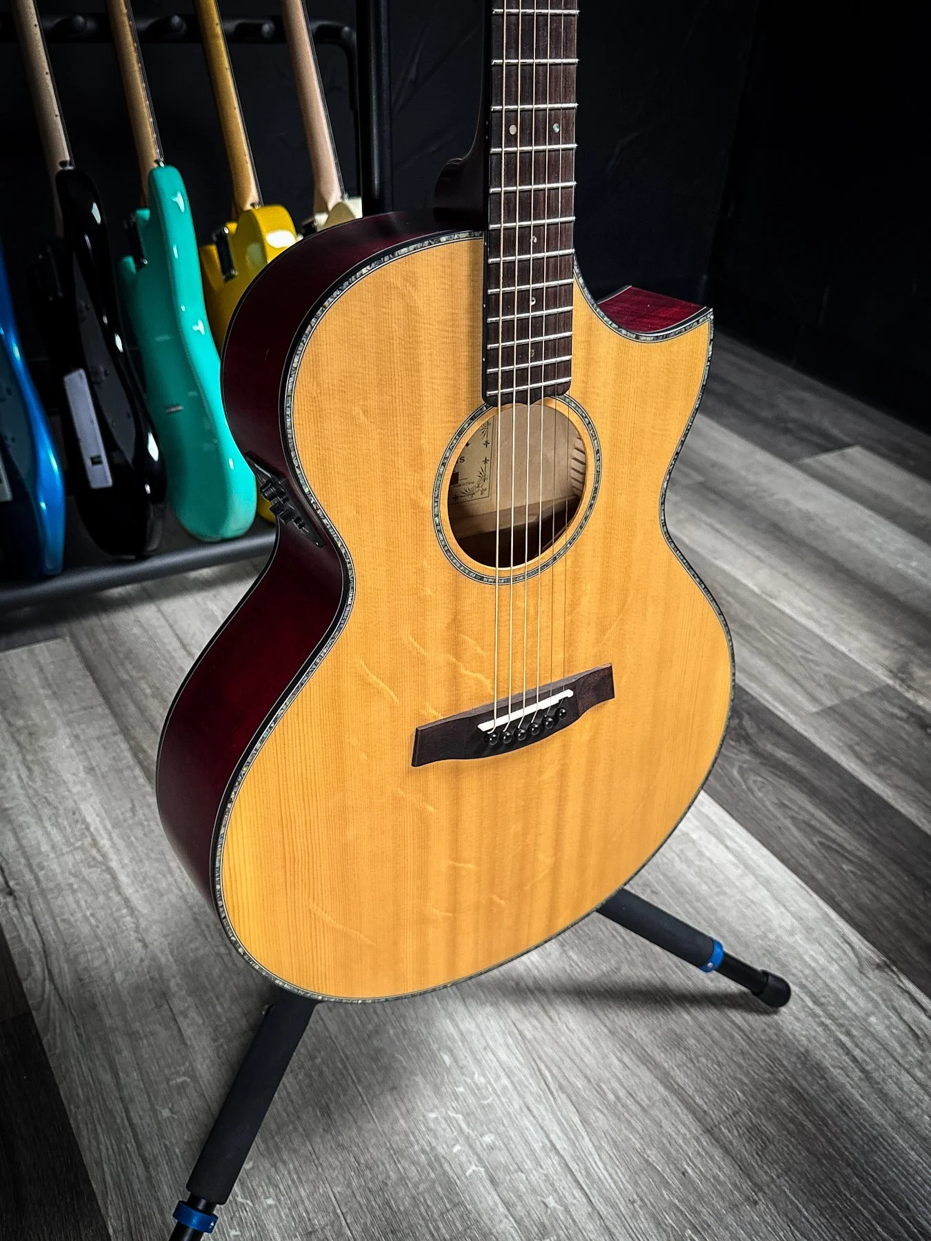 schecter-09.jpg
