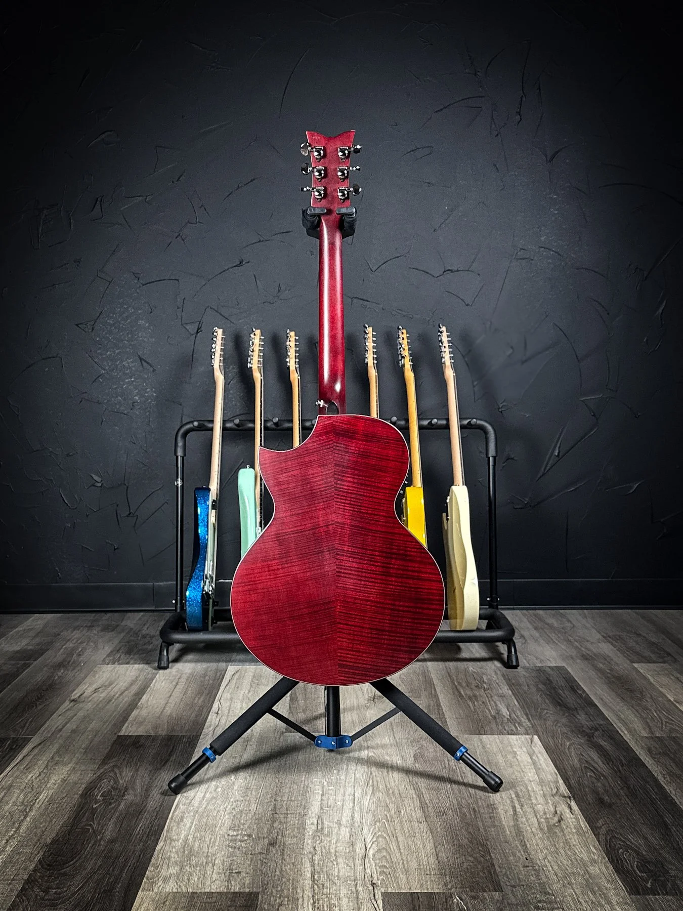 schecter-05.jpg