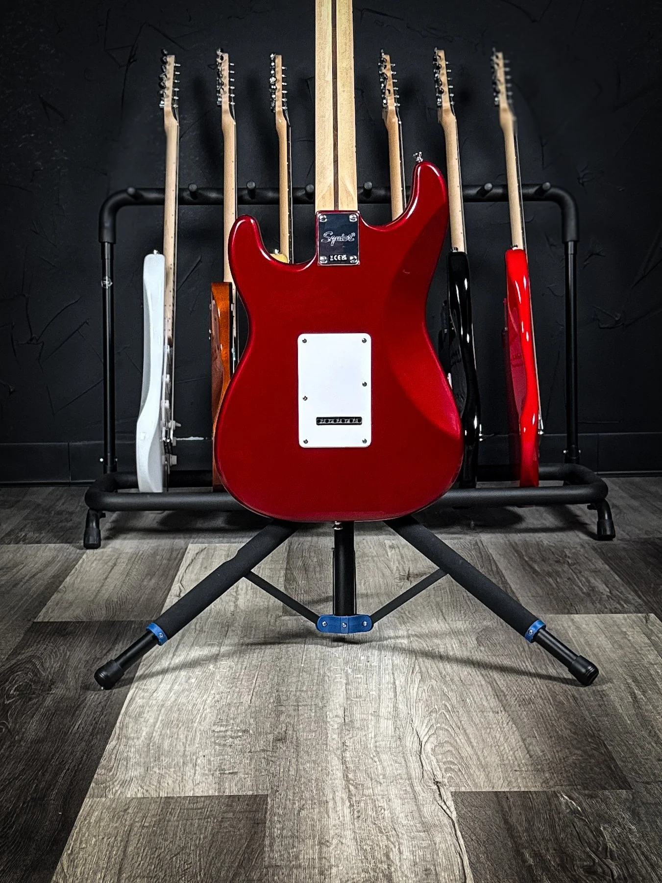 squier-2.jpg