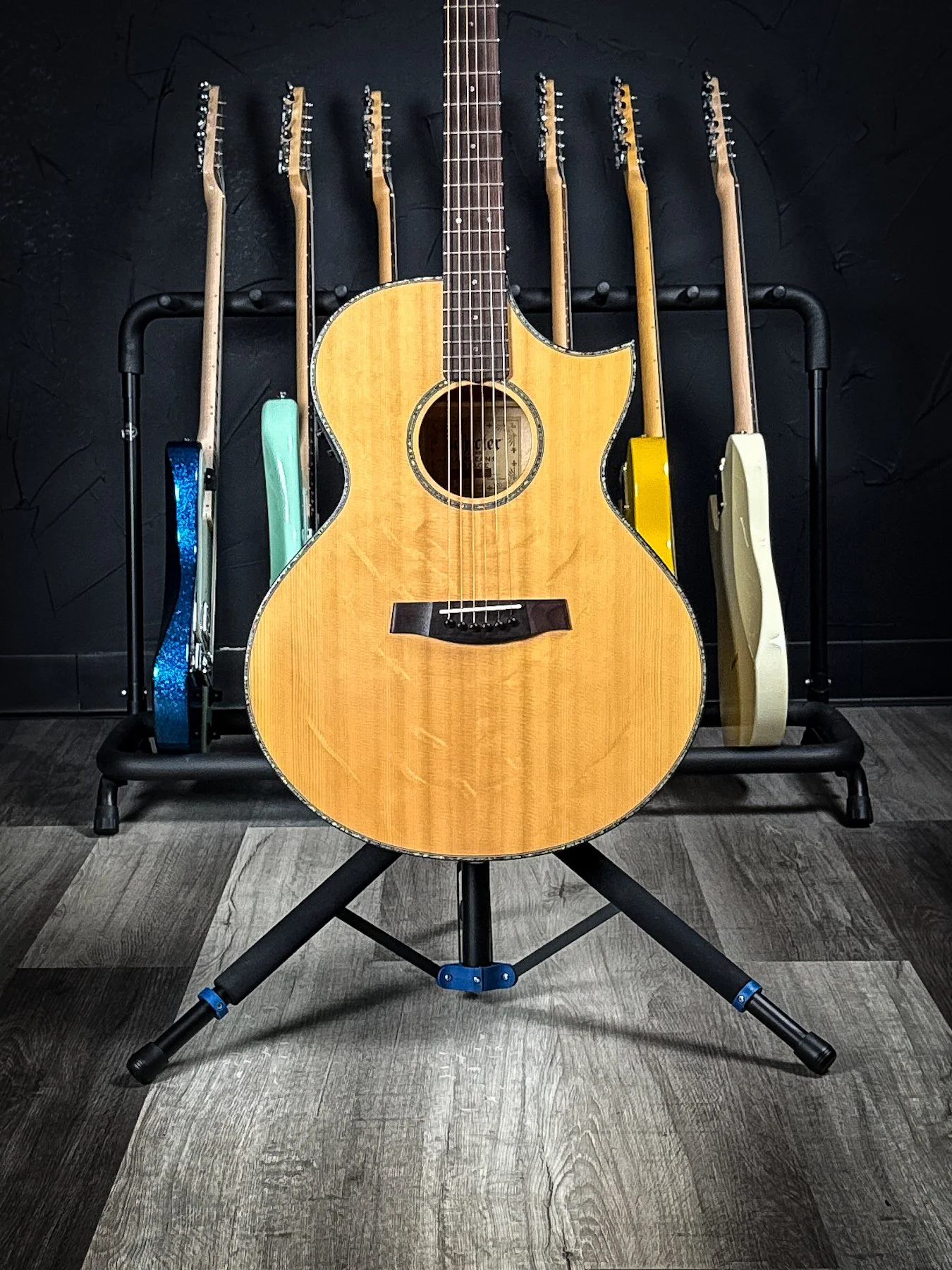 schecter-10.jpg
