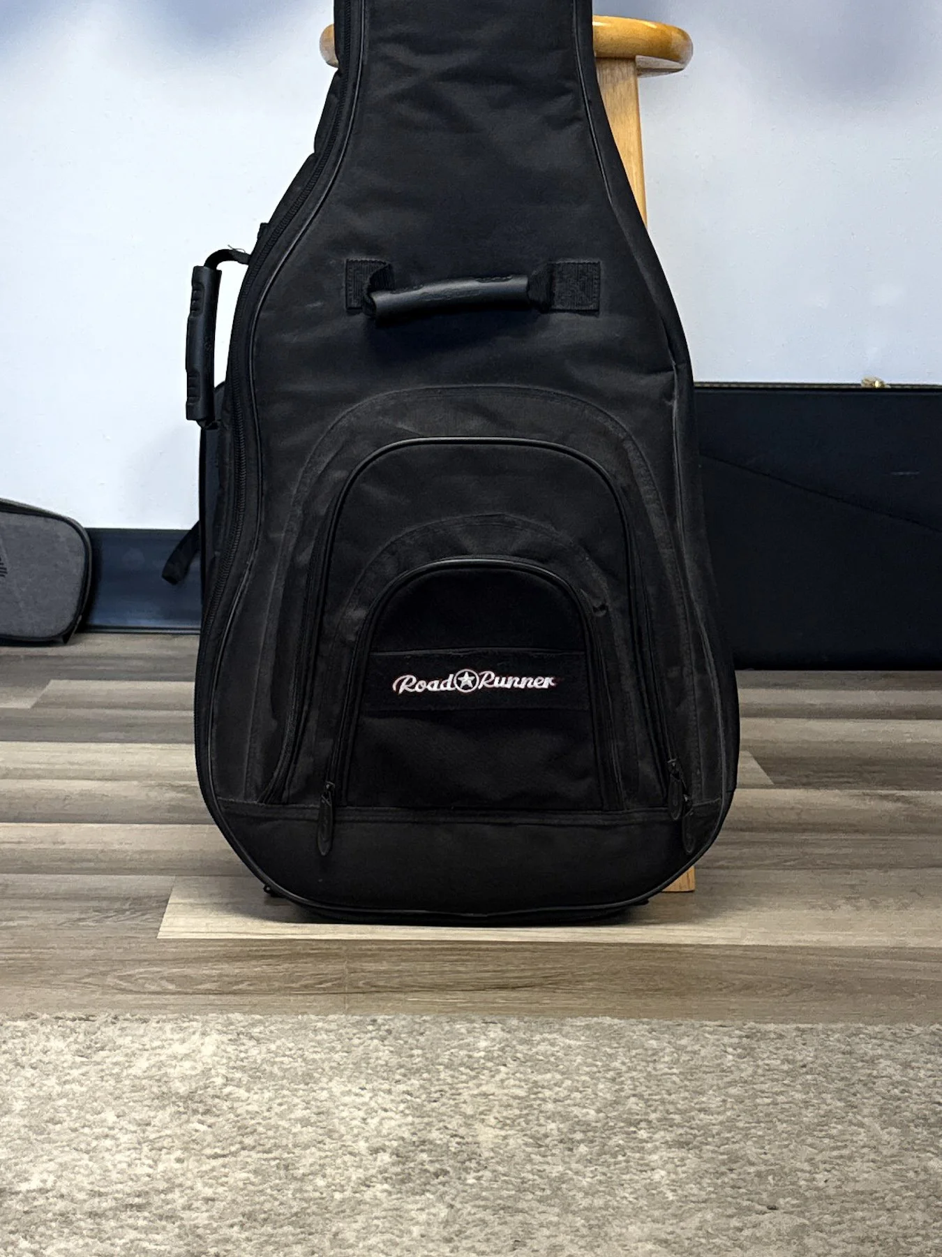 gig bag-5.jpg