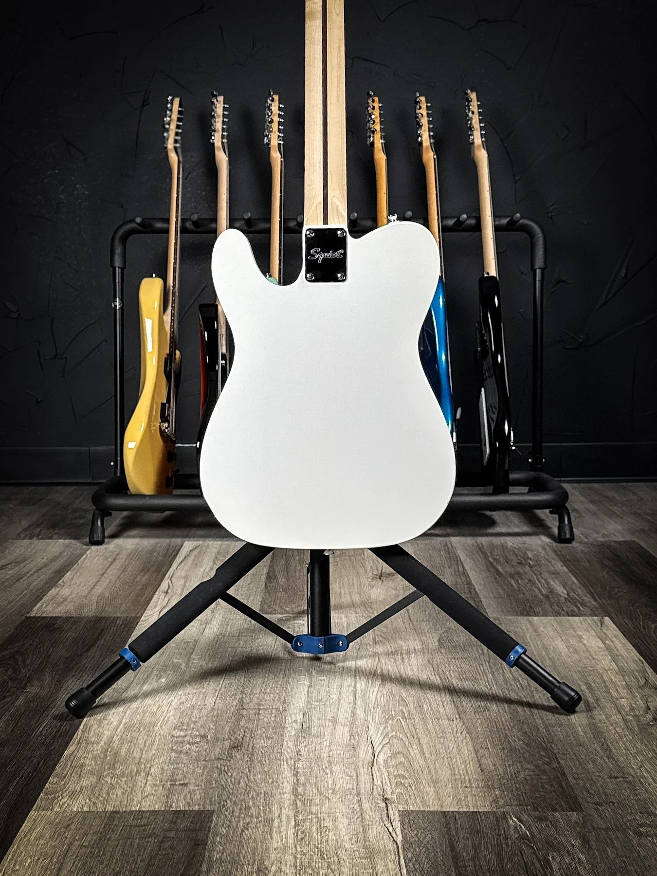squier-1.jpg