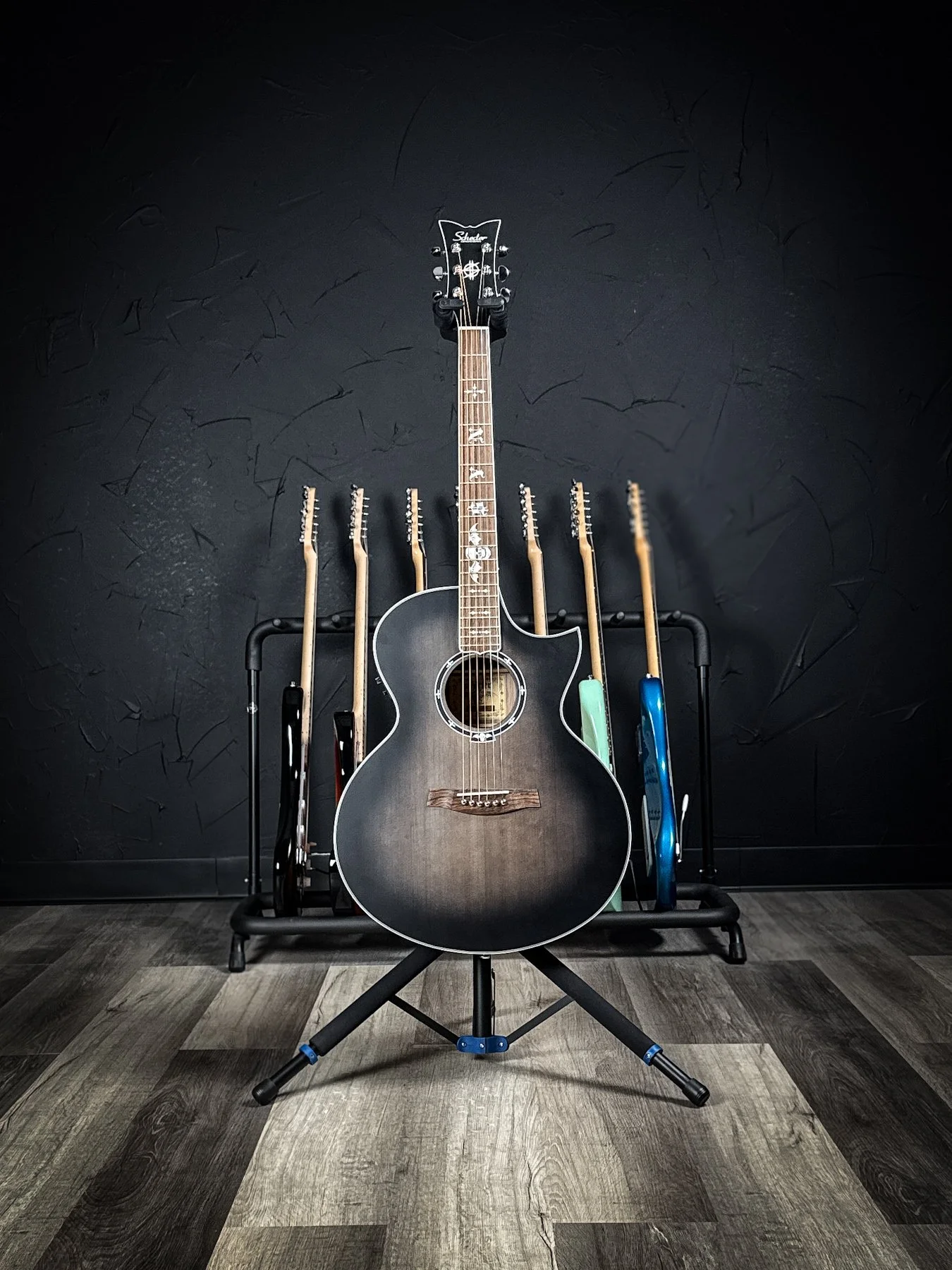 schecter-11.jpg