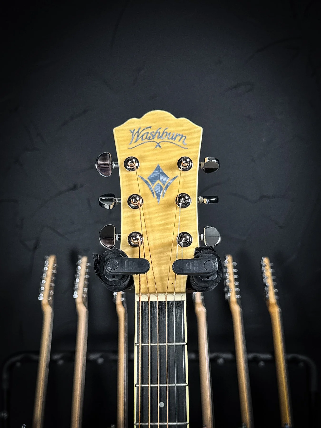 washburn-4.jpg
