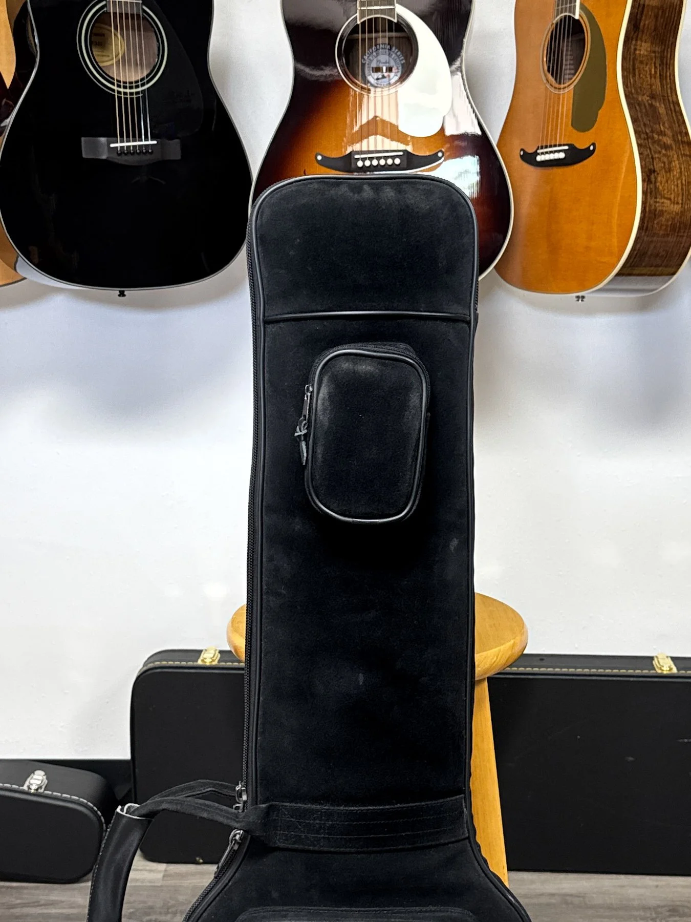 gig bag-2.jpg